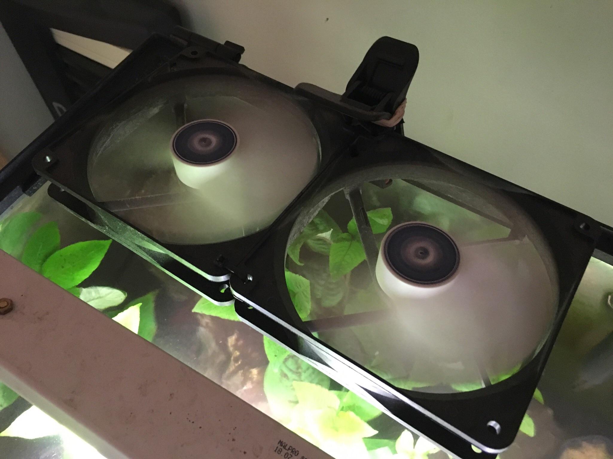 Tip homemade aquarium cooling two pc fans ziptied together running