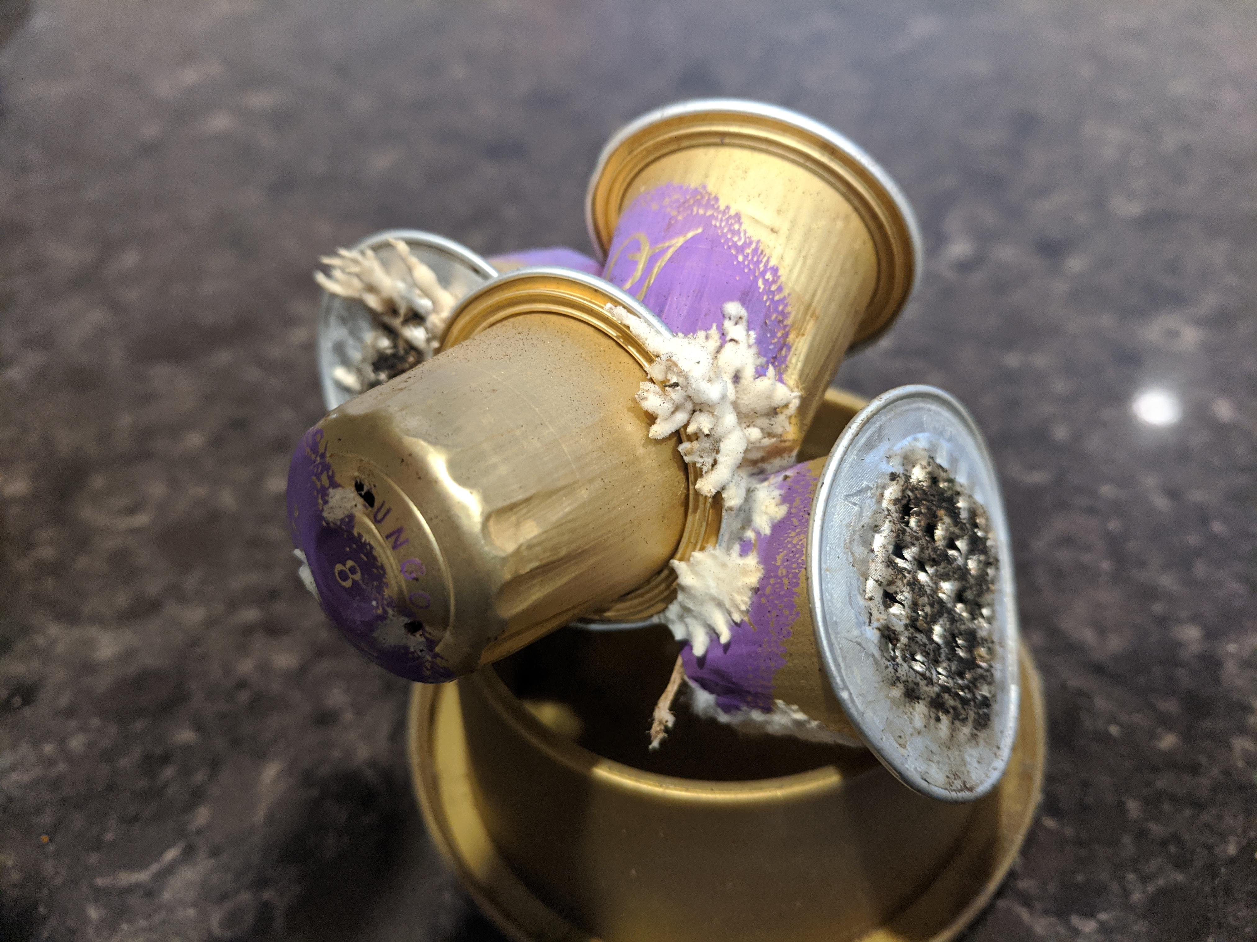 The interesting mold on these old coffee pods left out to dry and r/mildlyinteresting