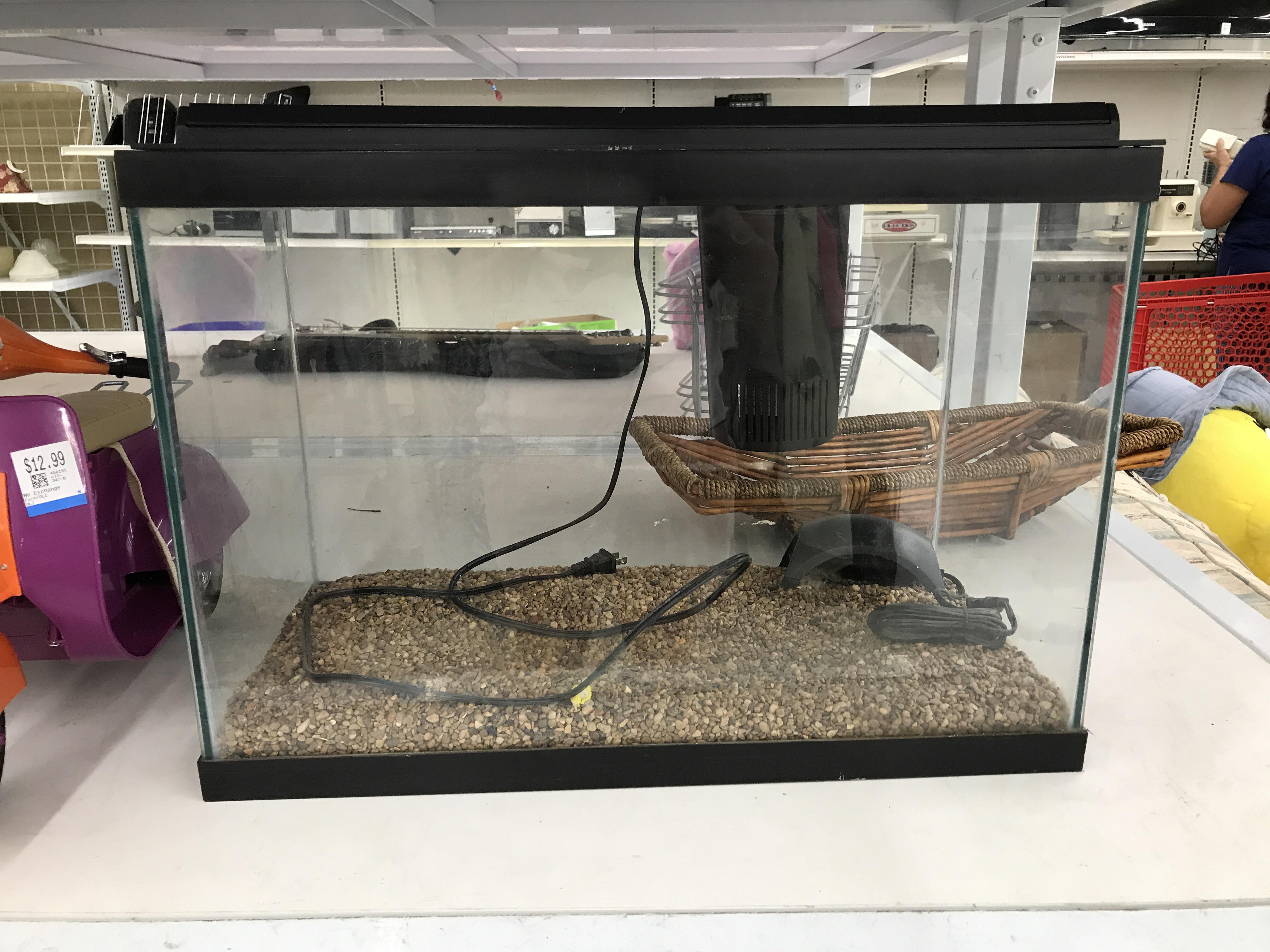 First time owner here would a tank of this size properly