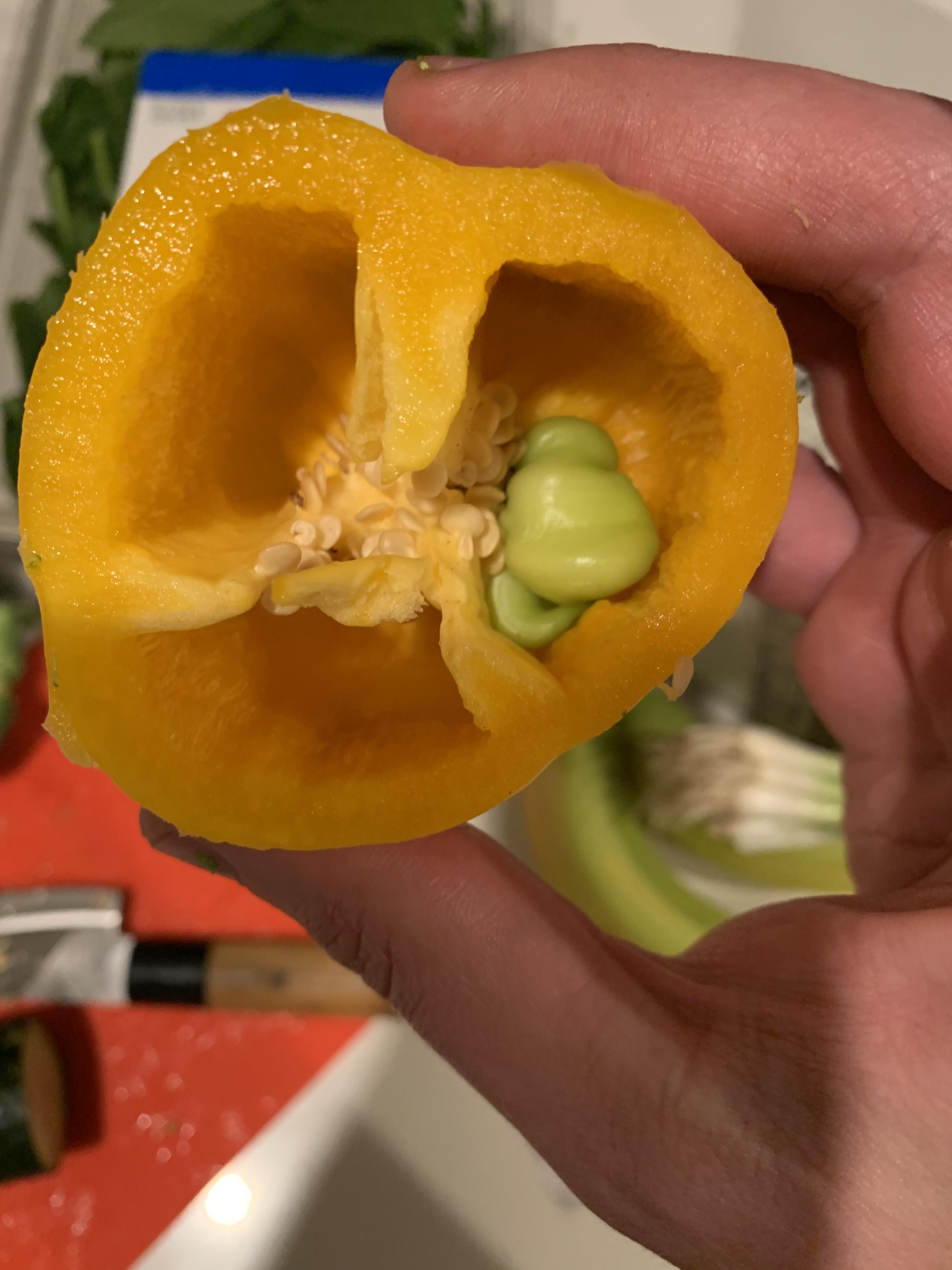 My Bell pepper was pregnant r/mildlyinteresting