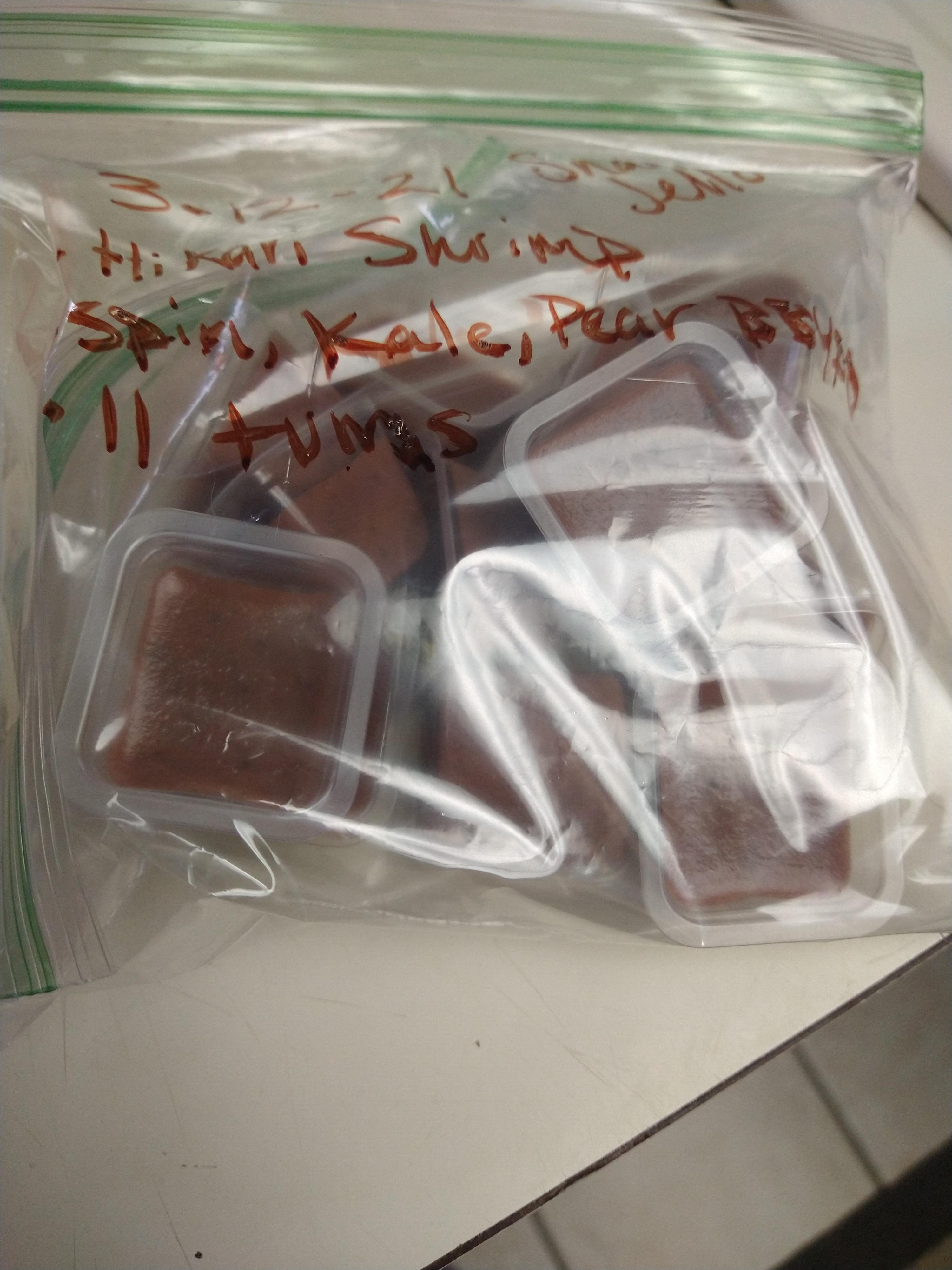 First time snail owner, my baby Mystery Snails arrive today and I made