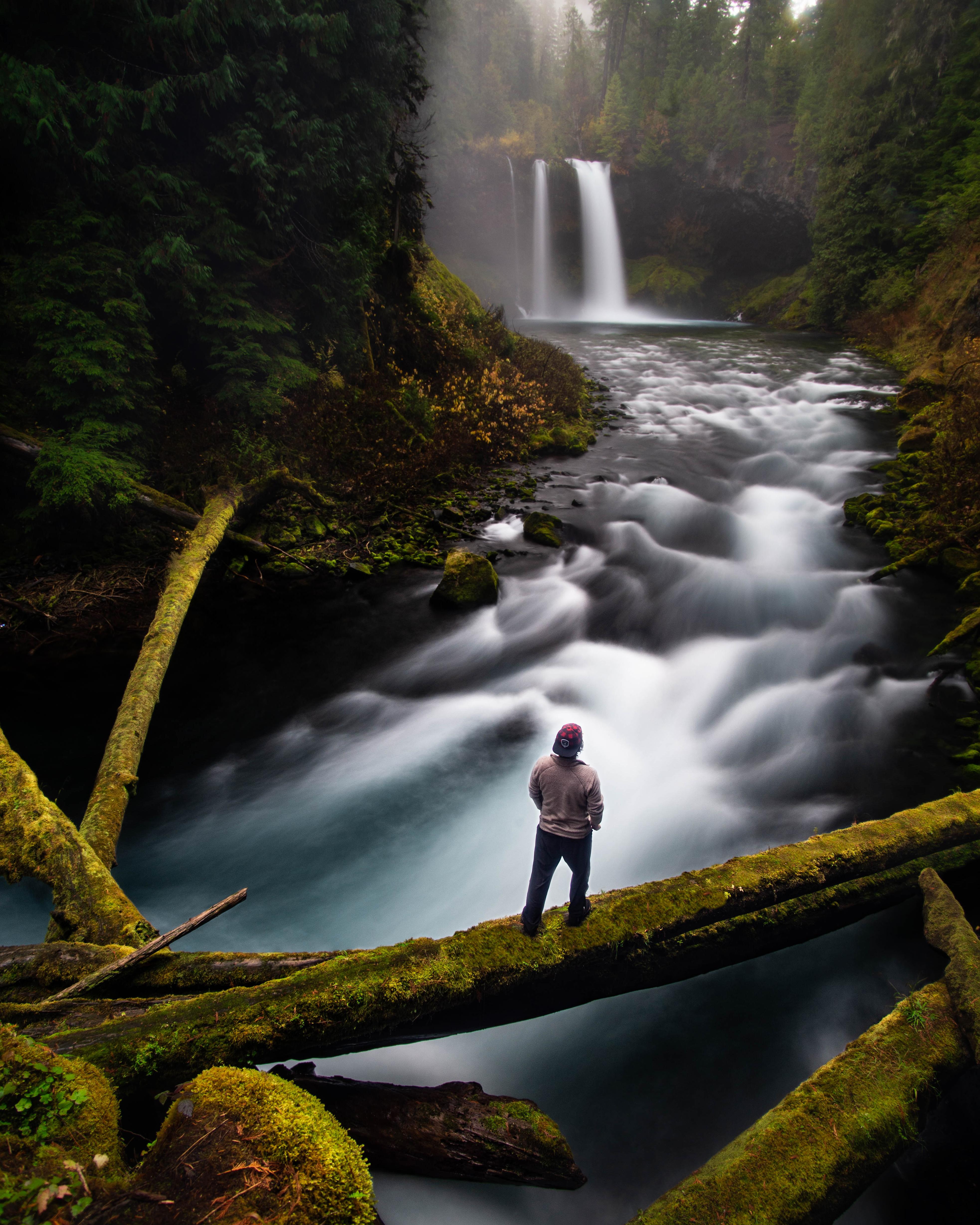 Sahalie Falls on the McKenzie River, Oregon, USA r/hiking