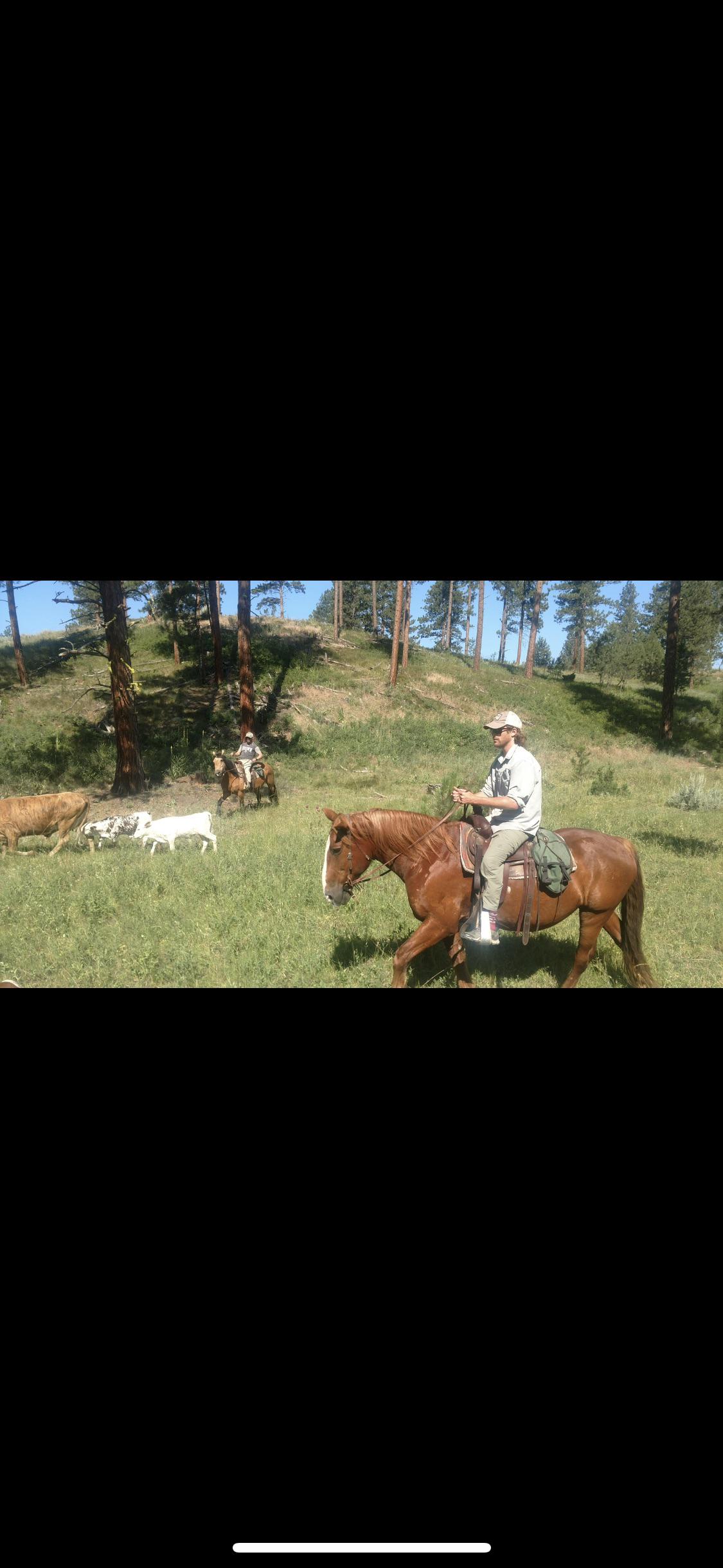 Real life RDR r/RDR2