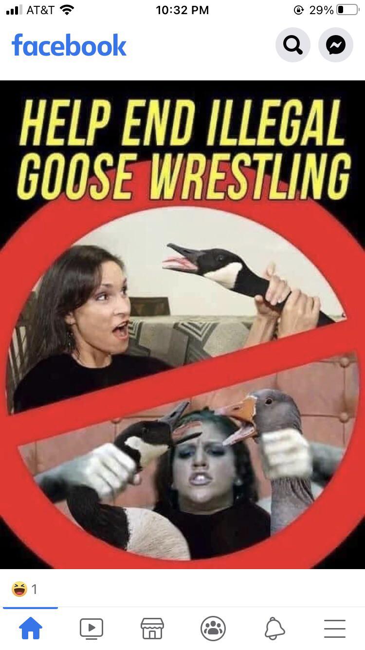 overview for You_cant_vacuum_fart