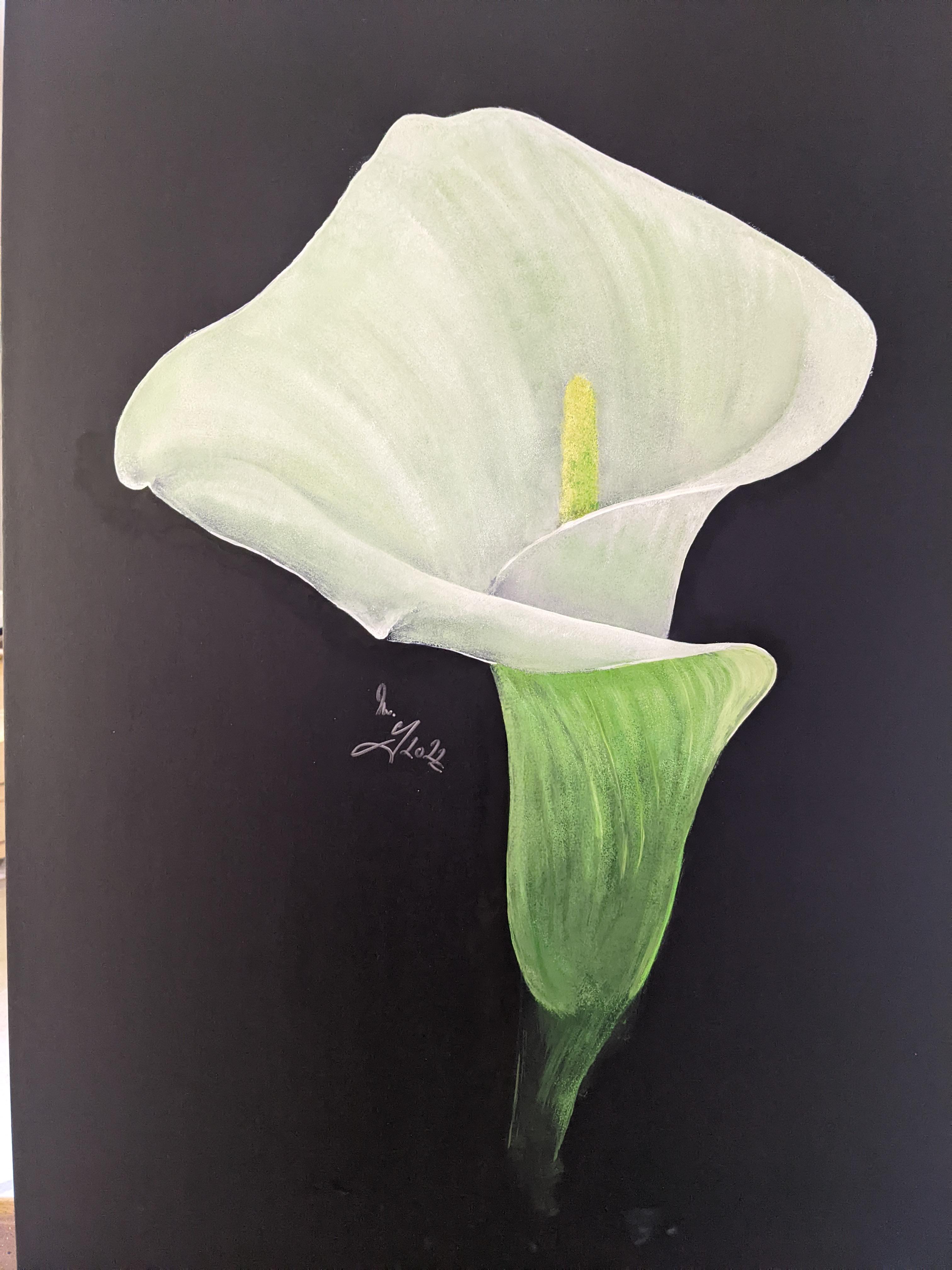 Calla lily, flower of balance(life&death) r/INTP