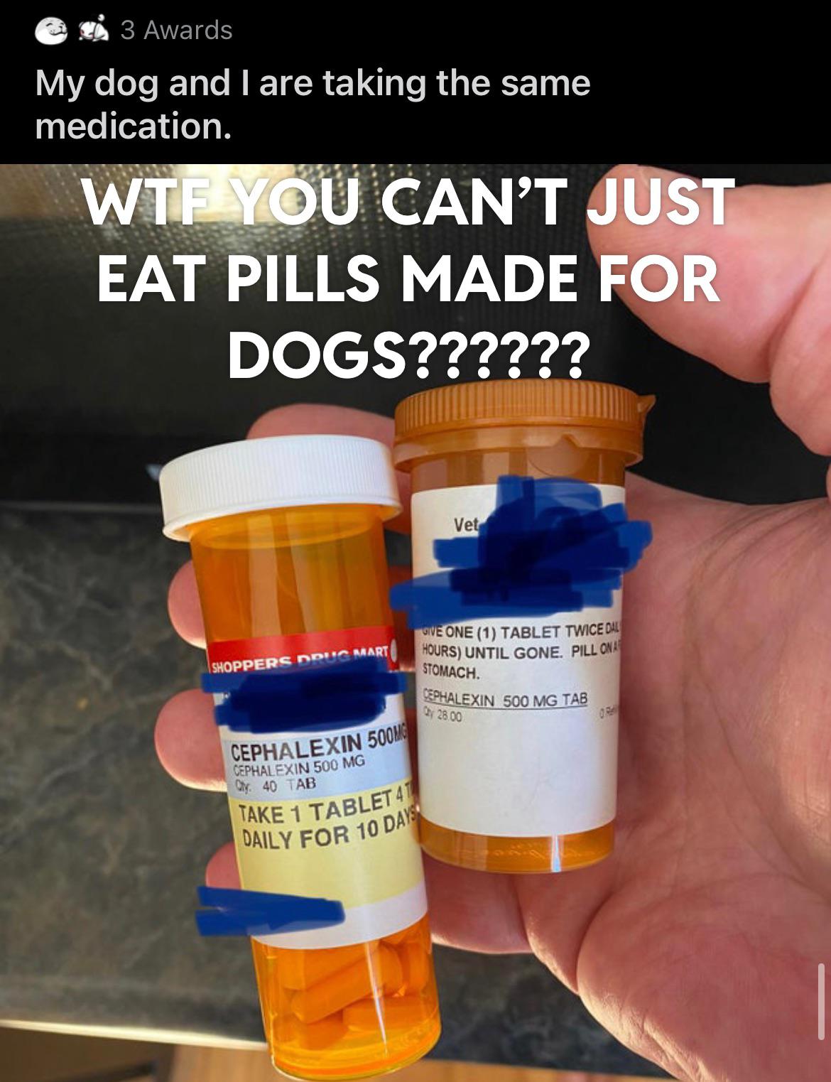 Remember when the whole “horse pill” shit was going on regarding