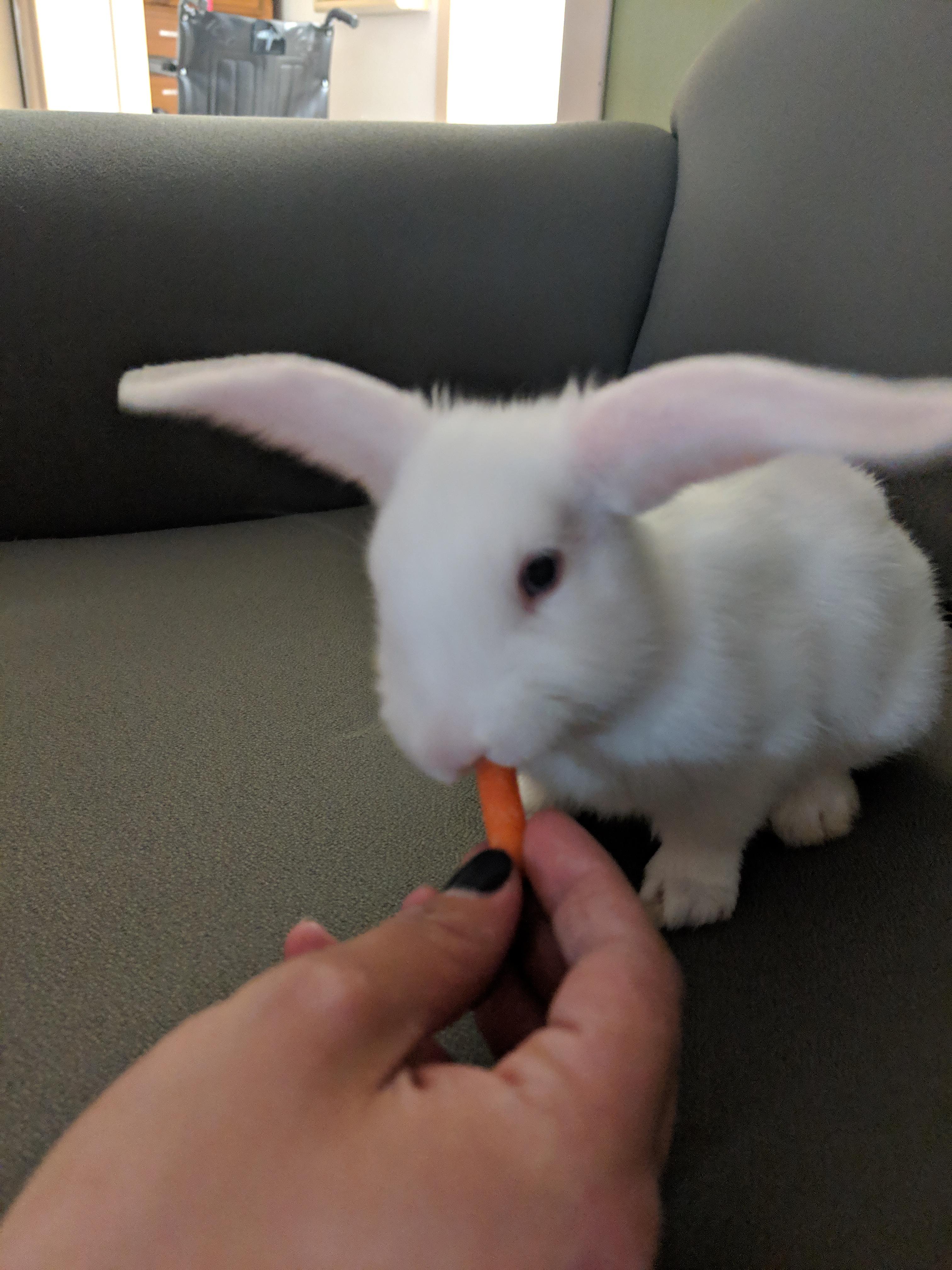 I just got this little one today.. she is 8 weeks old. I was wondering