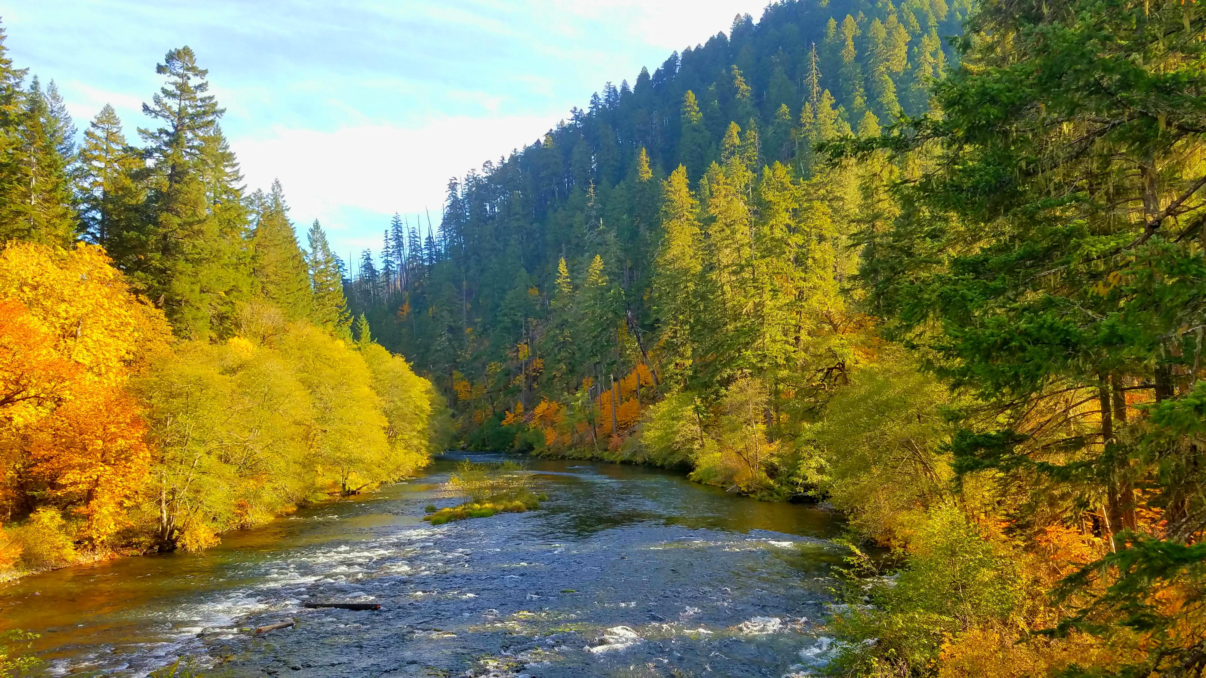North Umpqua River in the fall. r/oregon
