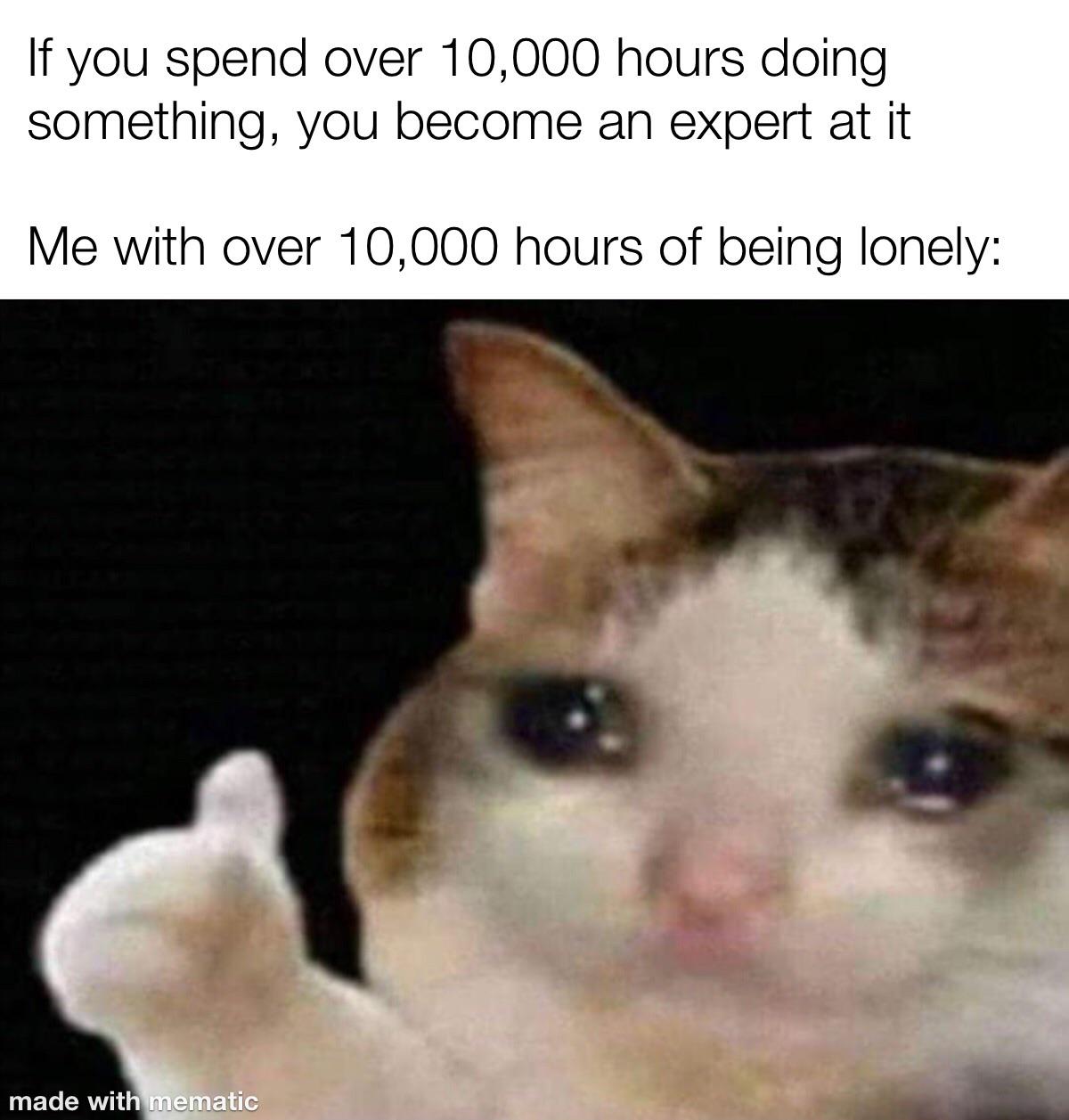 Sad cat noises memes