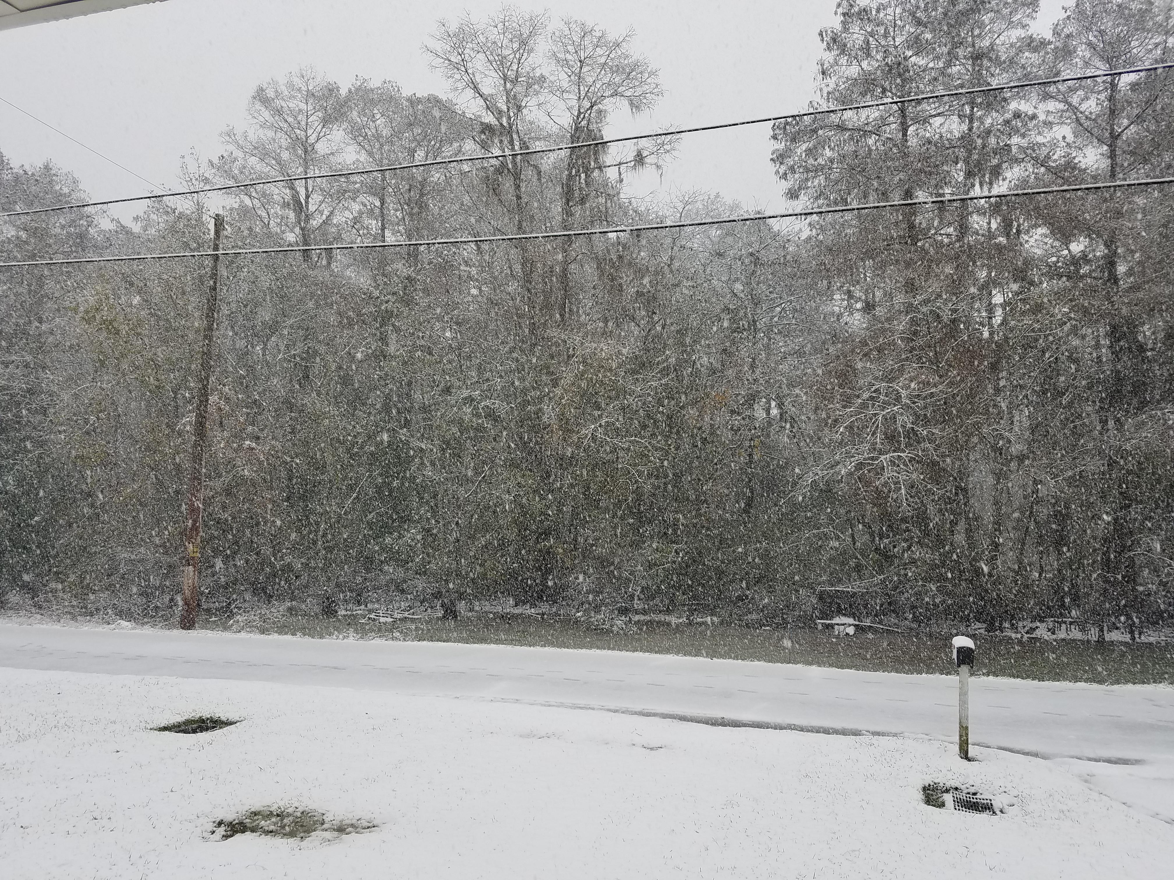 Down here in Pierre Part r/Louisiana