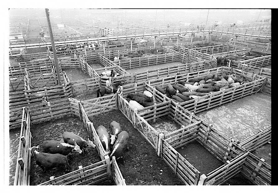 The Union Stockyards of South Omaha, 1973. They were established in