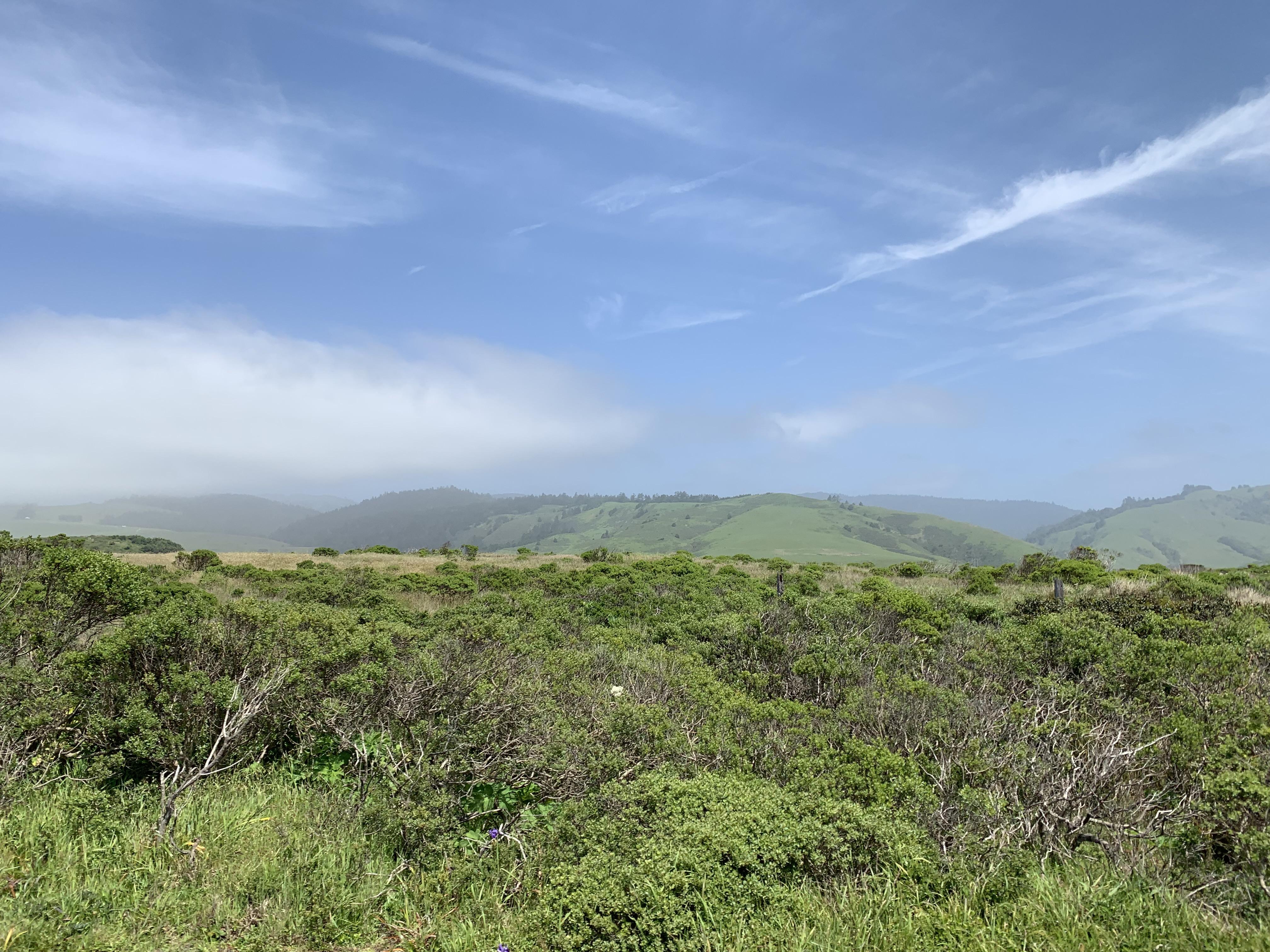 Monte Rio, California r/photography