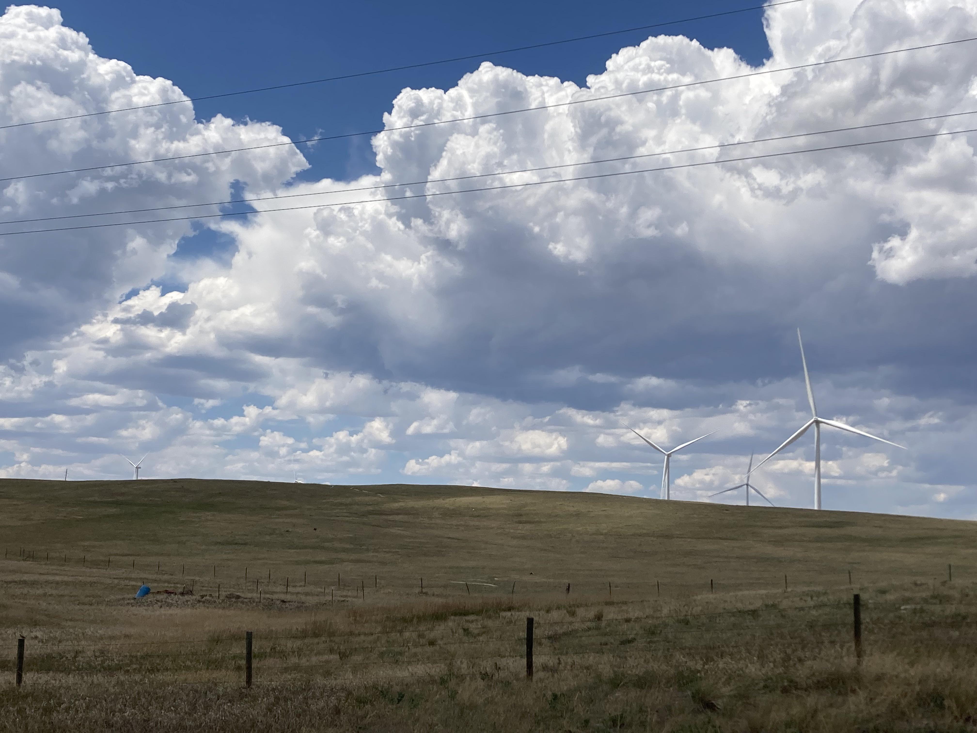 Visiting Wyoming for the first time and got what looks like a stock