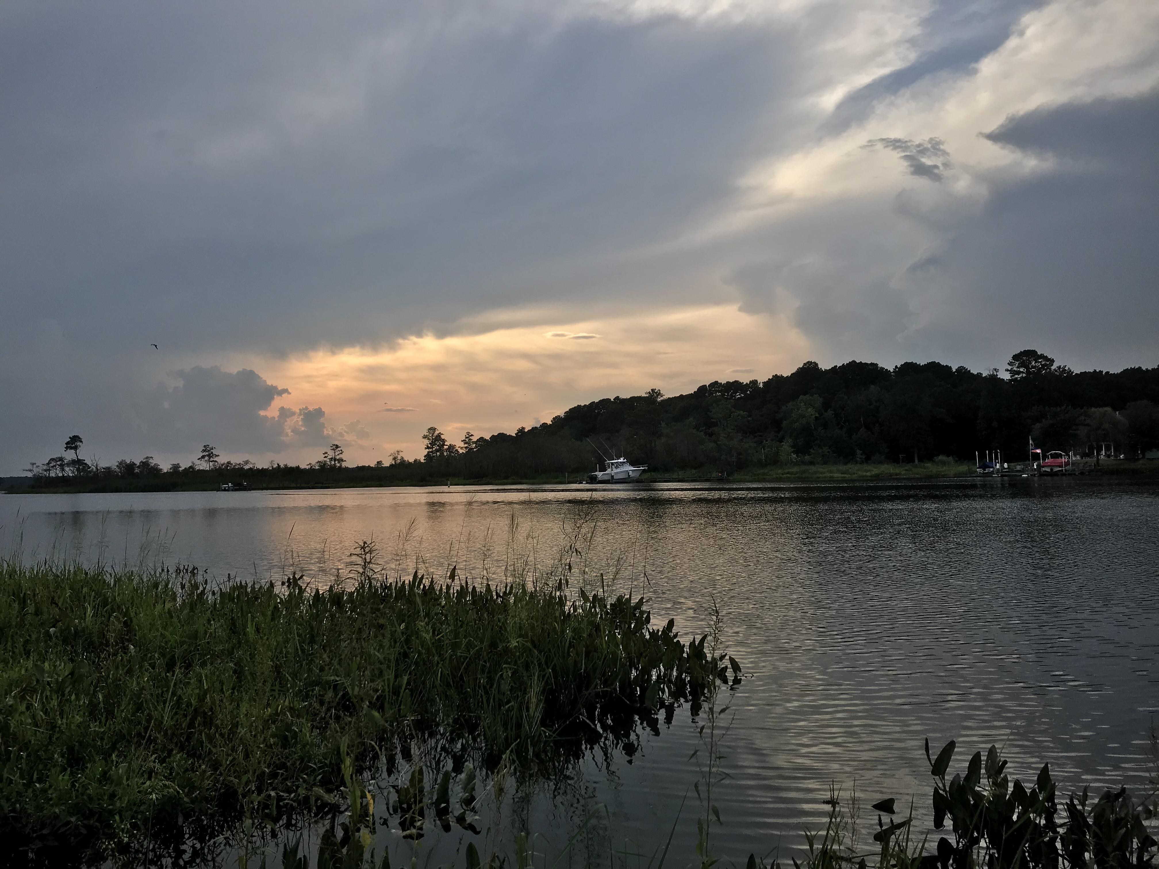 Since y’all liked my last picture, here’s the river in Eden, Maryland r/maryland