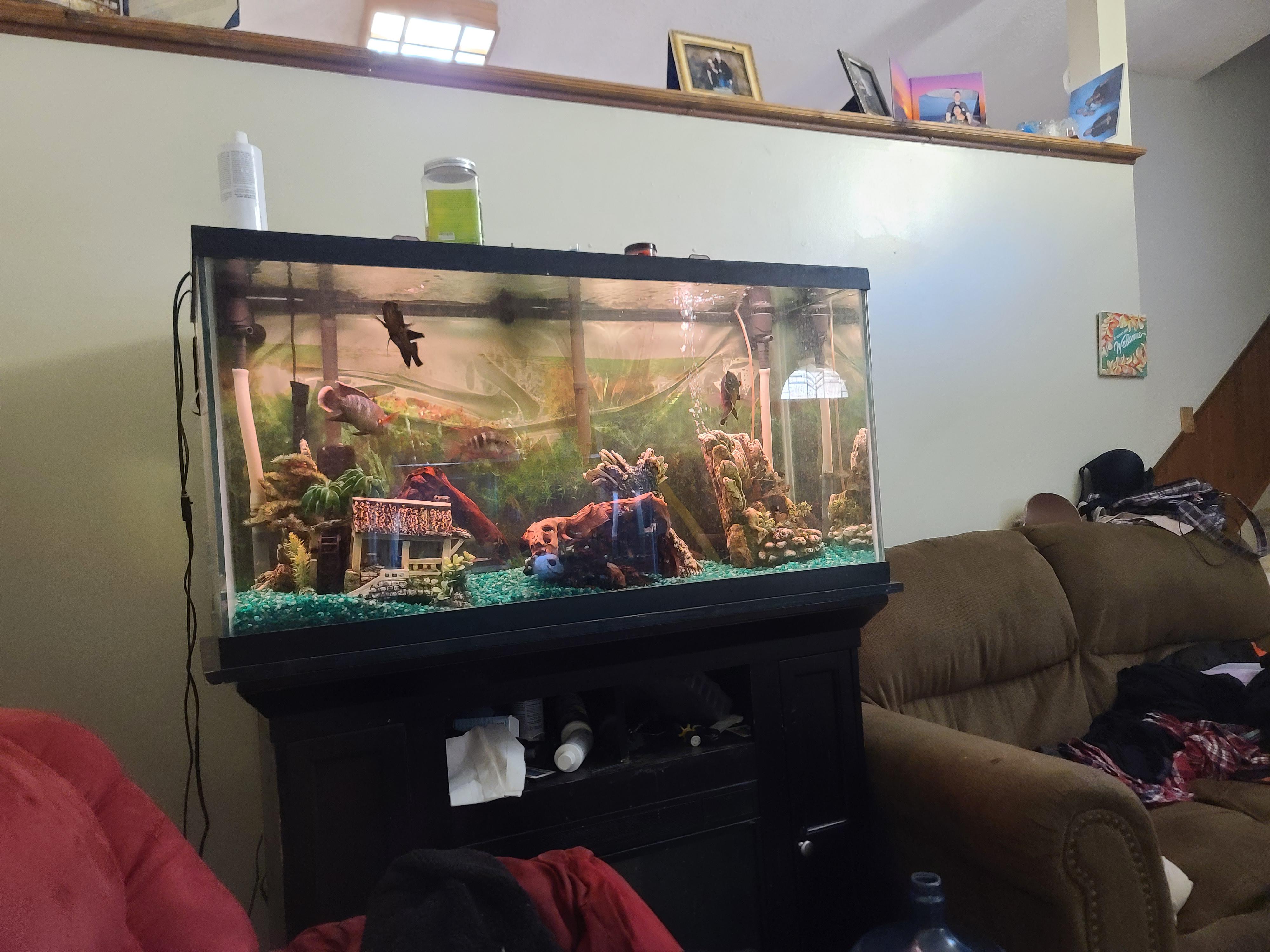 any idea when petco or petsmart or any of them are having a sale on 125