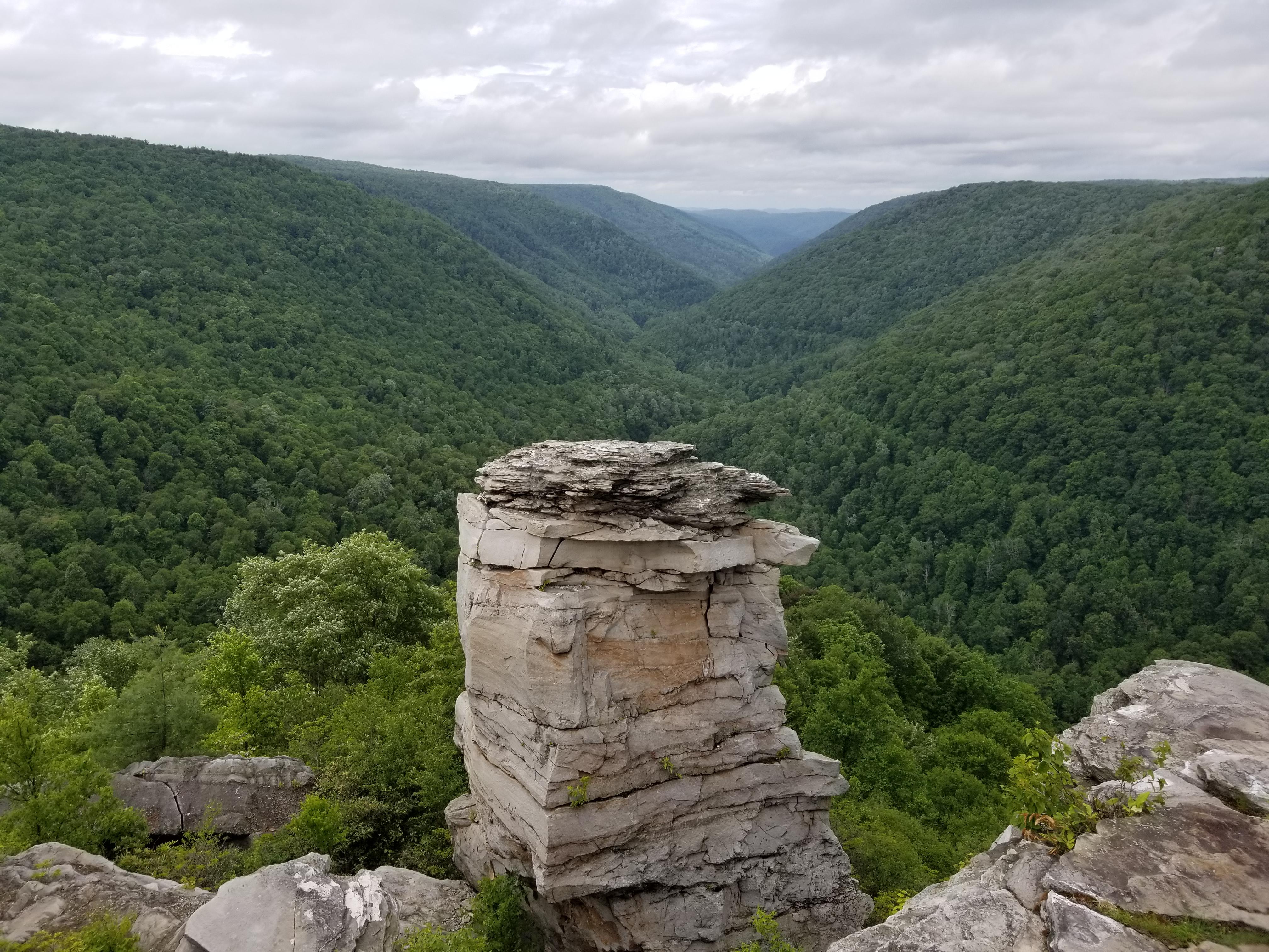 Lindy's Point at Blackwater Falls State Park r/WestVirginia
