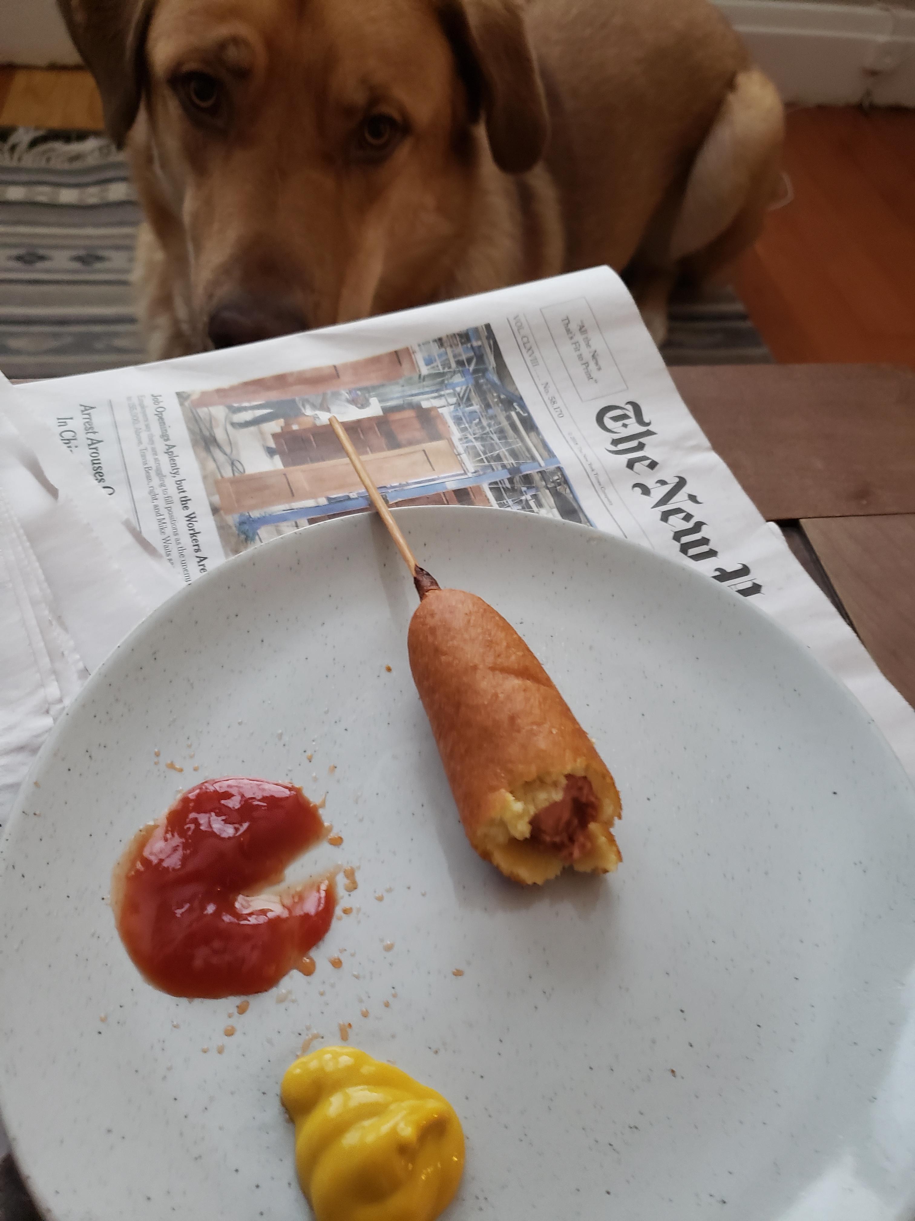 Not a huge fan of meat subs, but the morningstar corn dogs are really