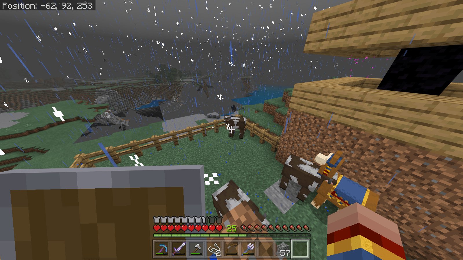 Whenever i leave the nether portal > Overworld) these