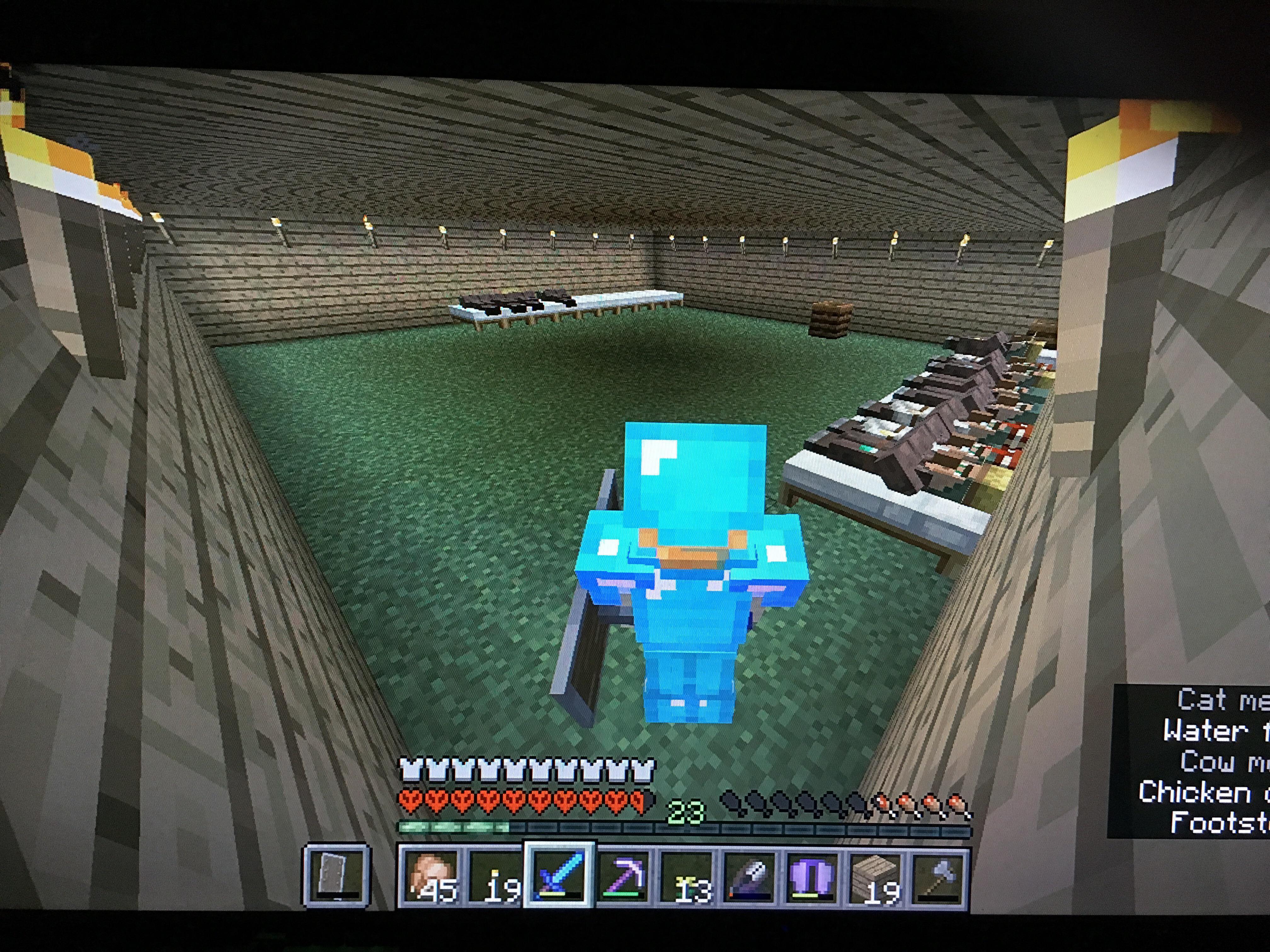 So is this enough for iron golems to spawn, so I could farm them for