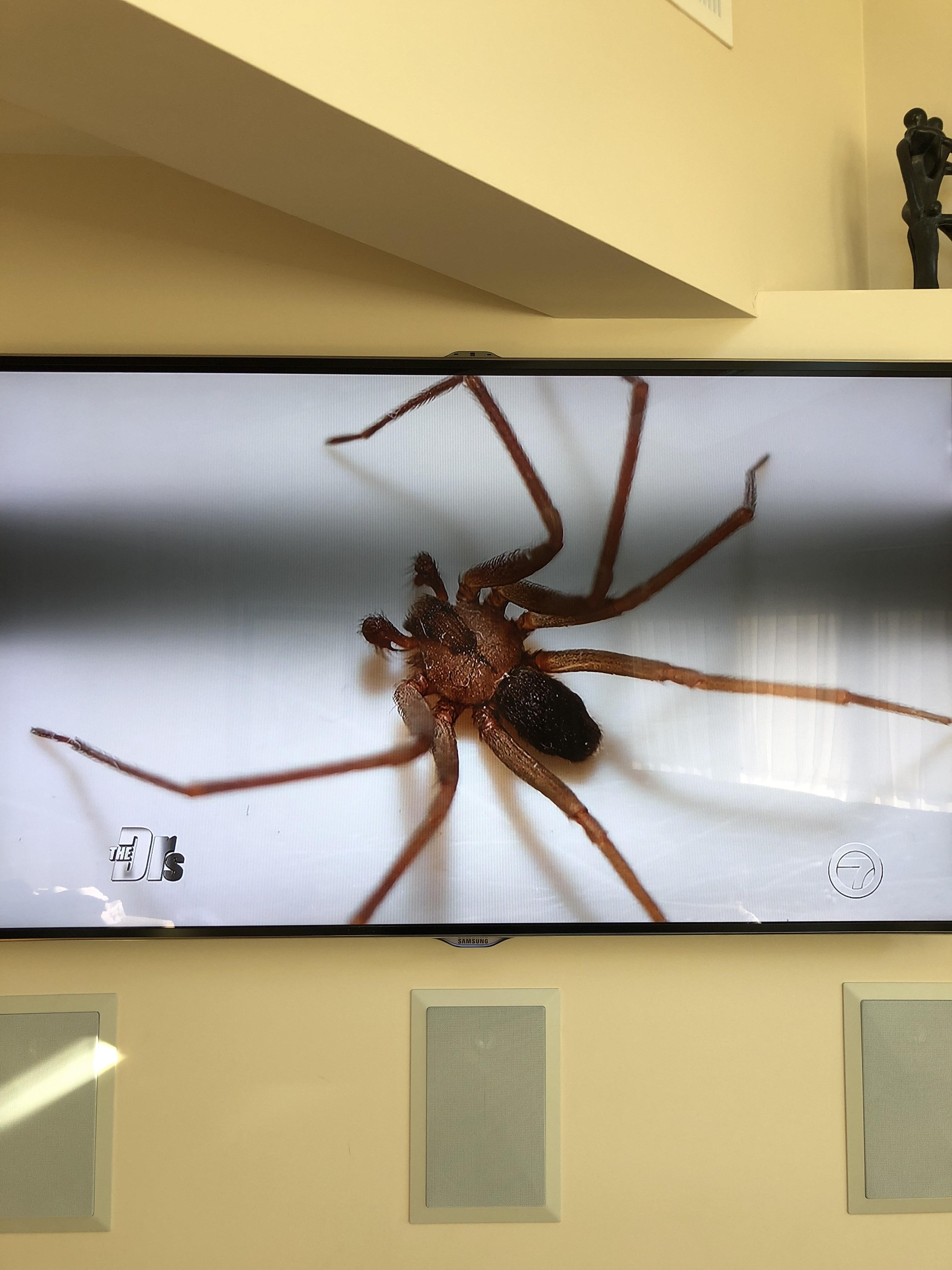 Thick black line across Samsung Smart TV r/TVRepair
