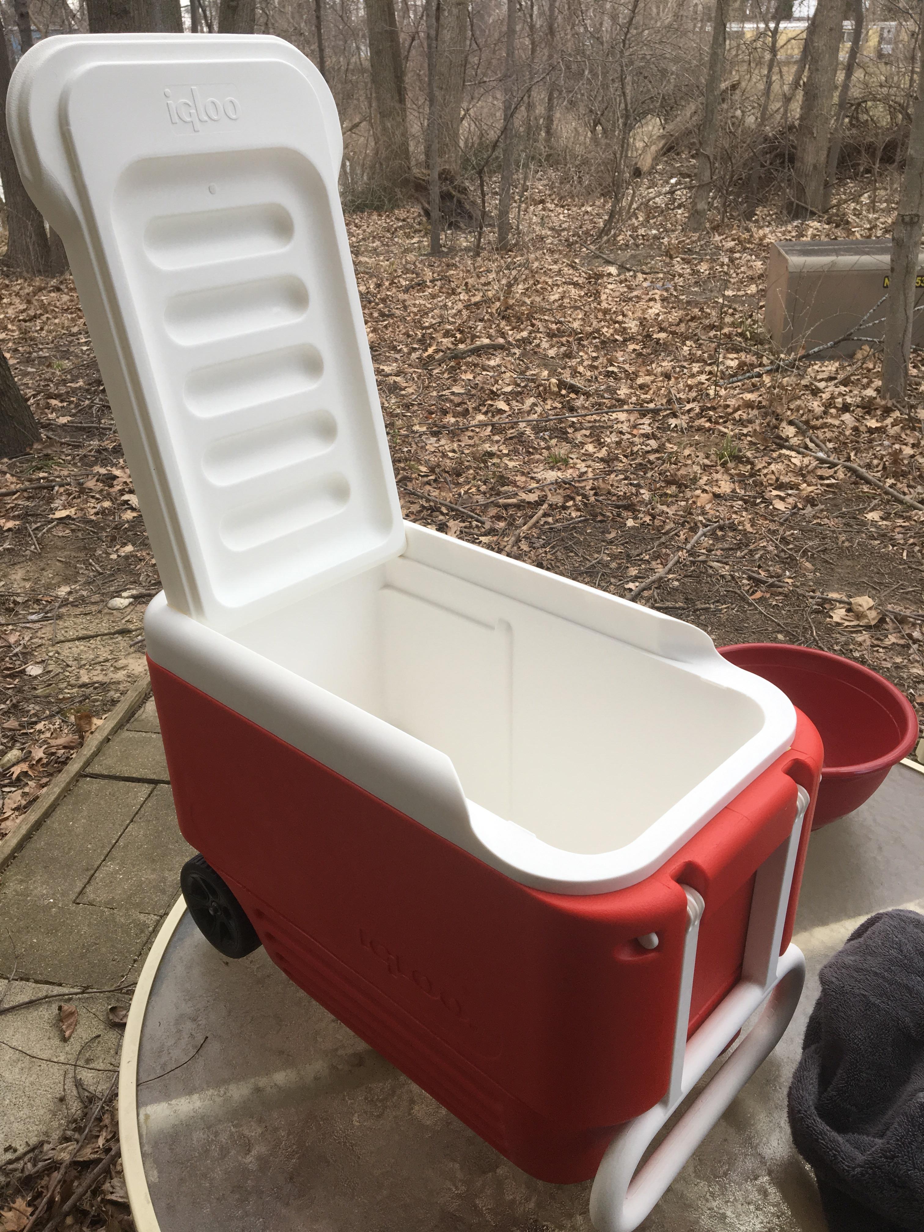 Found a free Igloo cooler, just had to clean it up. 60 saved! r