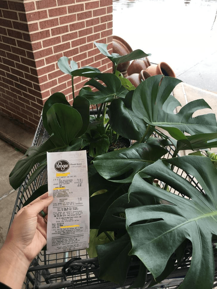 Stopped at a Kroger yesterday for trash bags but unexpectedly found a