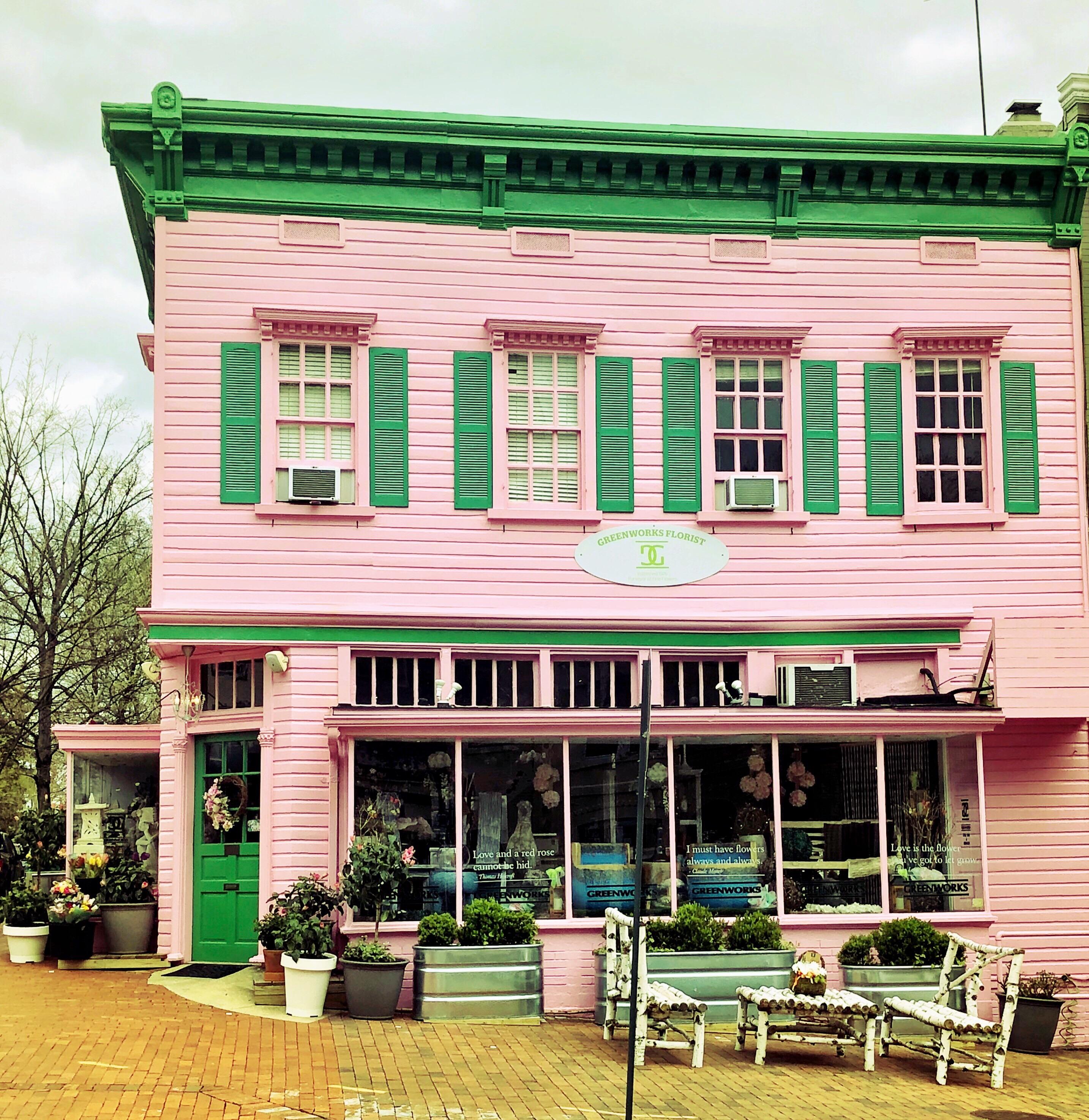Flower shop in Washington, DC r/AccidentalWesAnderson