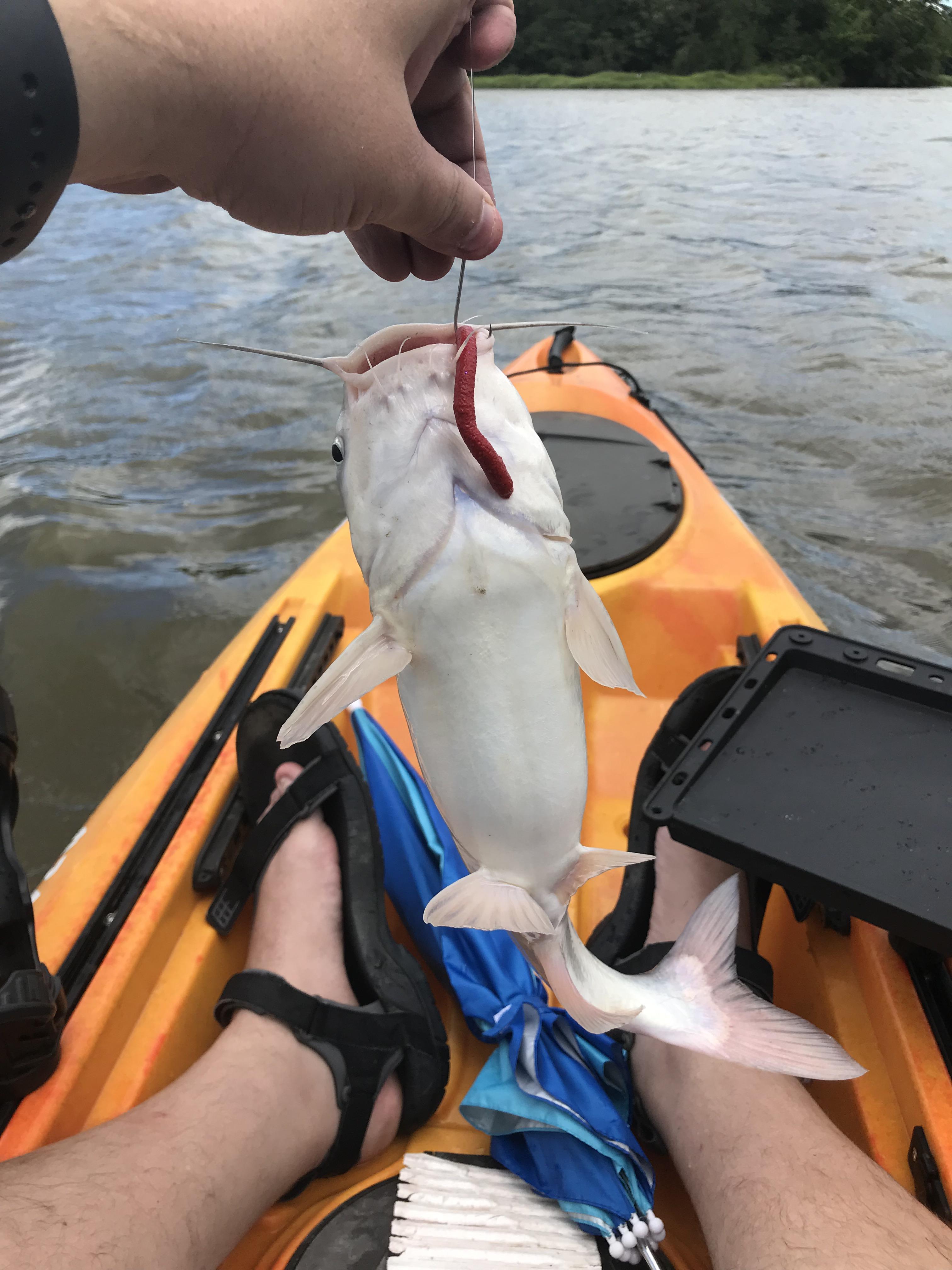[View 18+] Kayak Fishing James River
