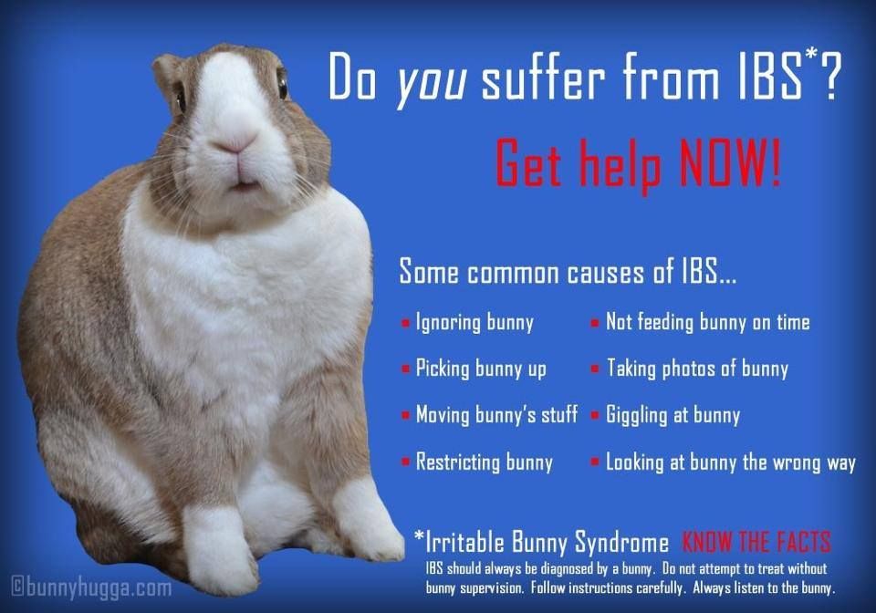 Know the facts! r/Rabbits