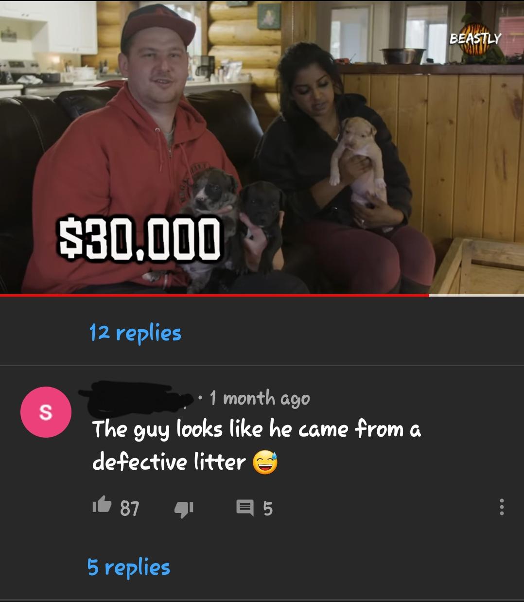 On a video about dogs that carry the Merle gene r/rareinsults