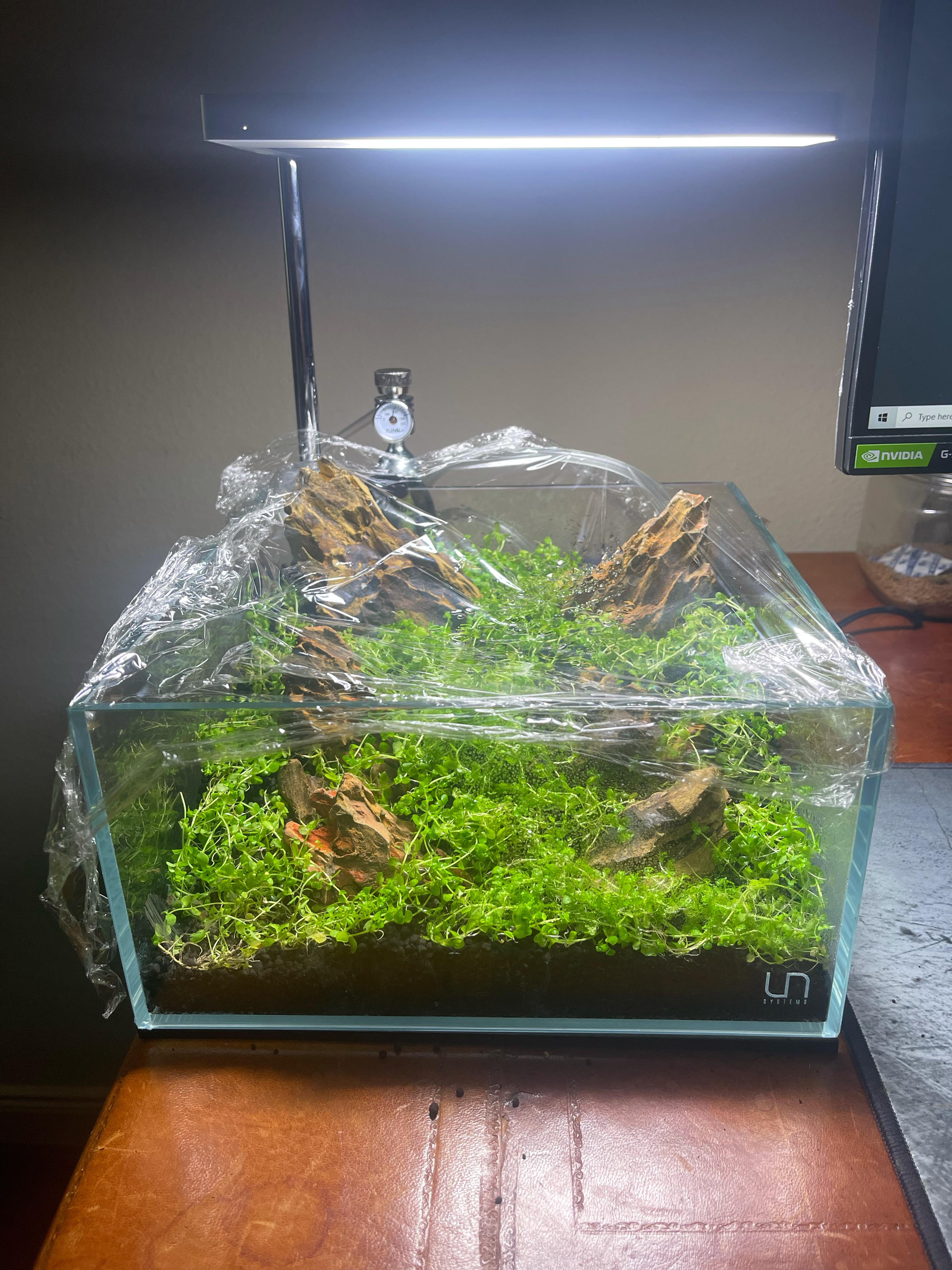 Suggestions/tips for a dry start method r/PlantedTank