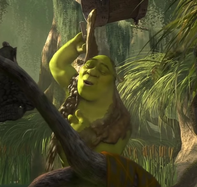 Shrek bathing in sh*t. To show disgusting things that some people might