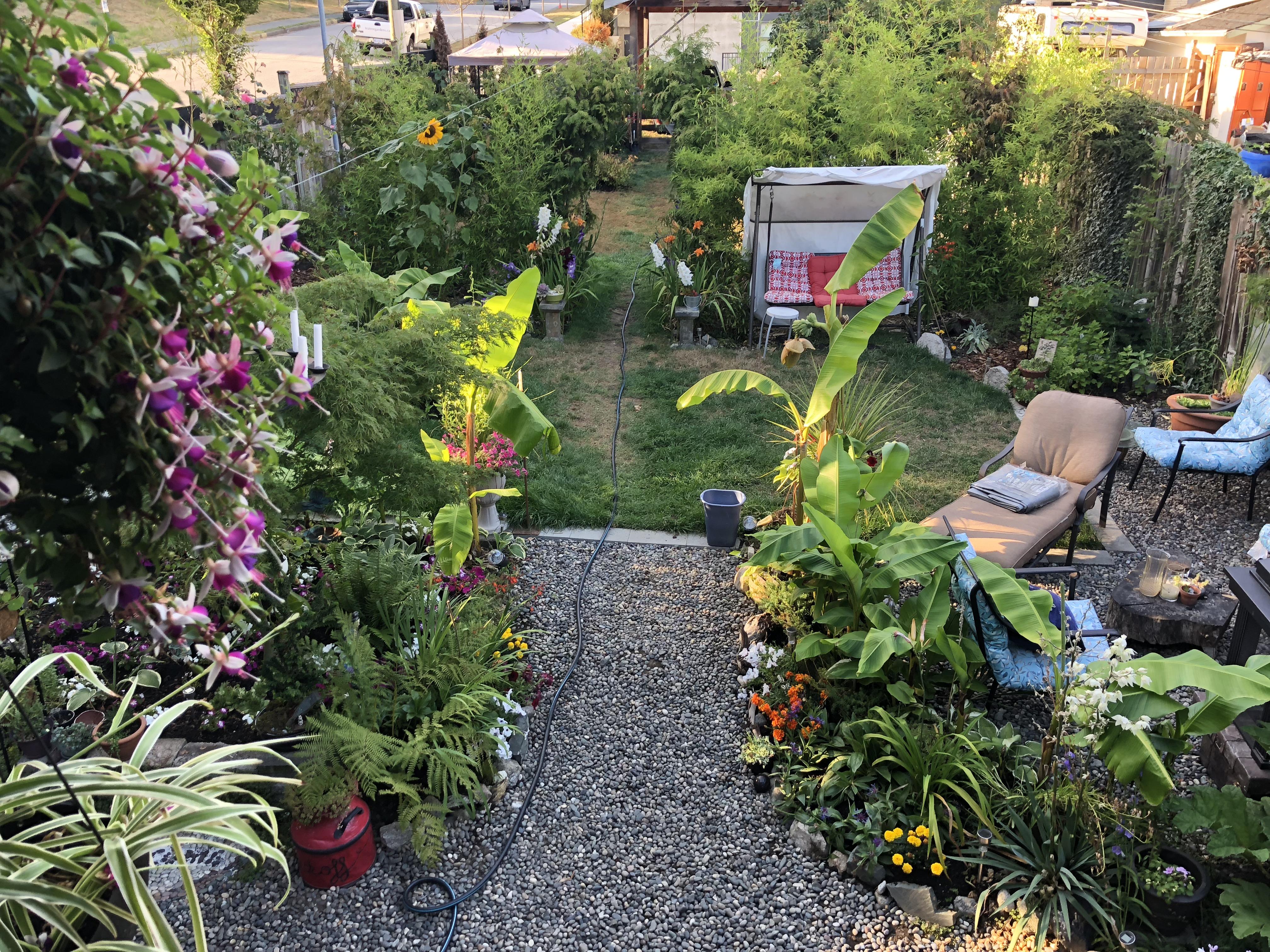 My backyard oasis. 😊 r/gardening