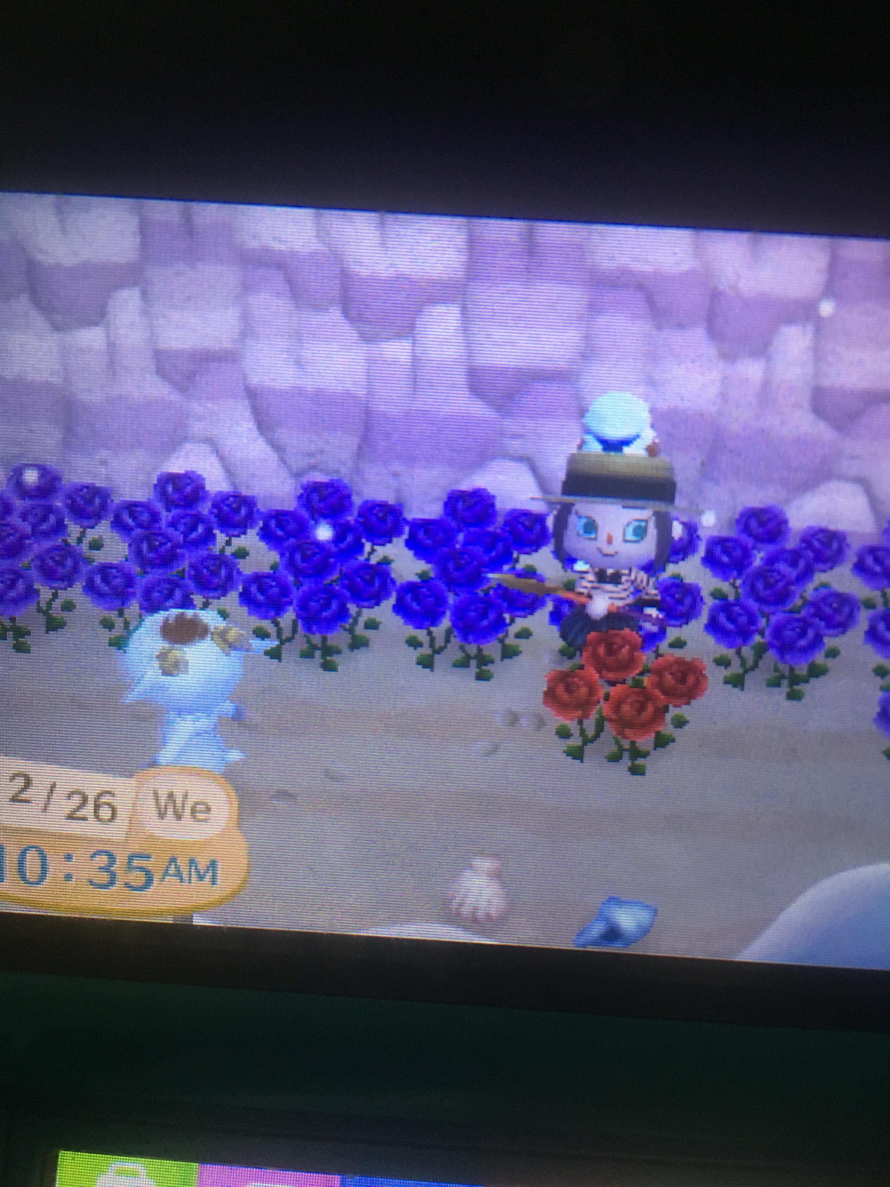 Apparently villagers will plant flowers on the beach. r/AnimalCrossing