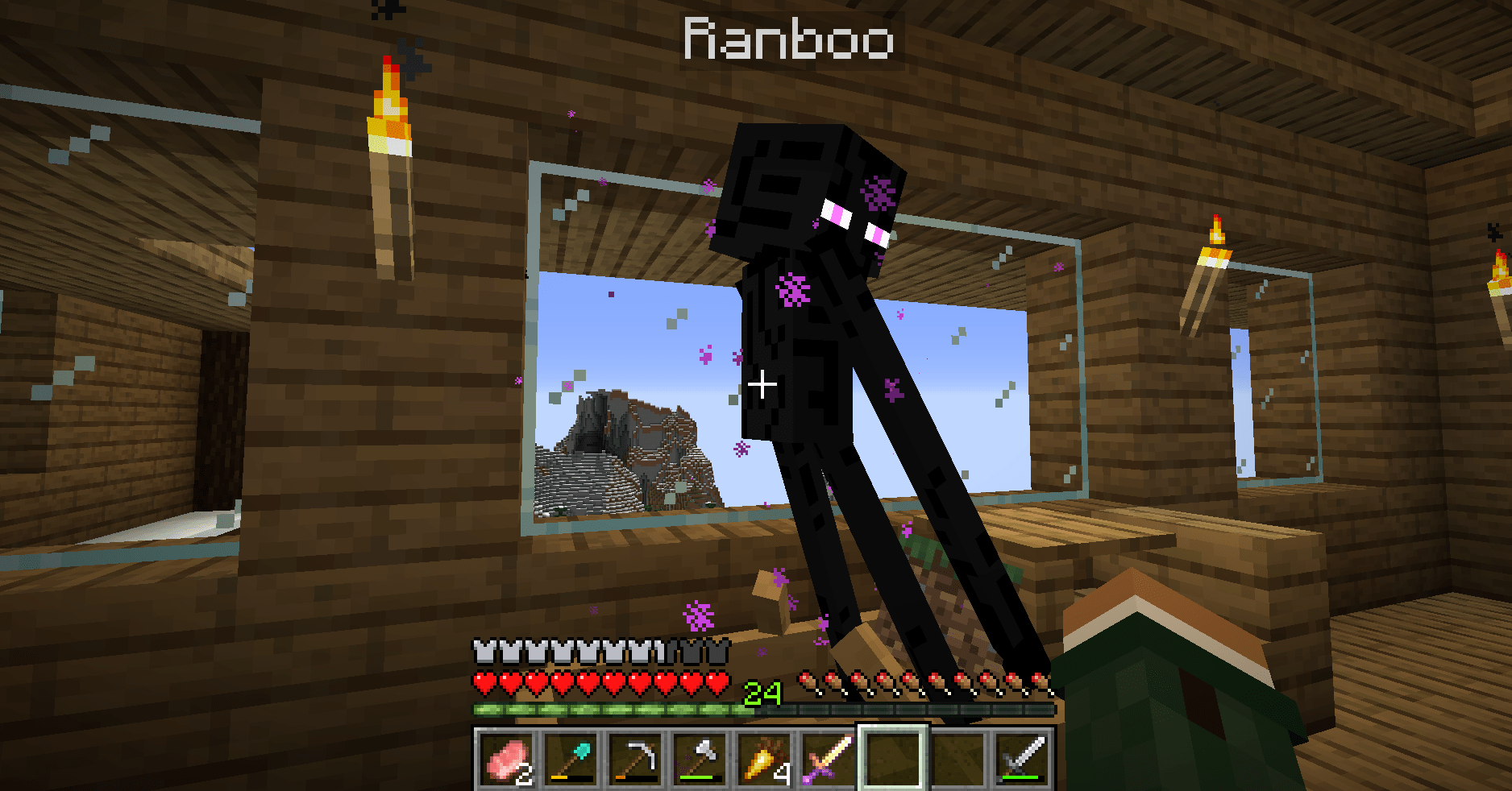 This enderman teleported into my house holding a grass block... made me