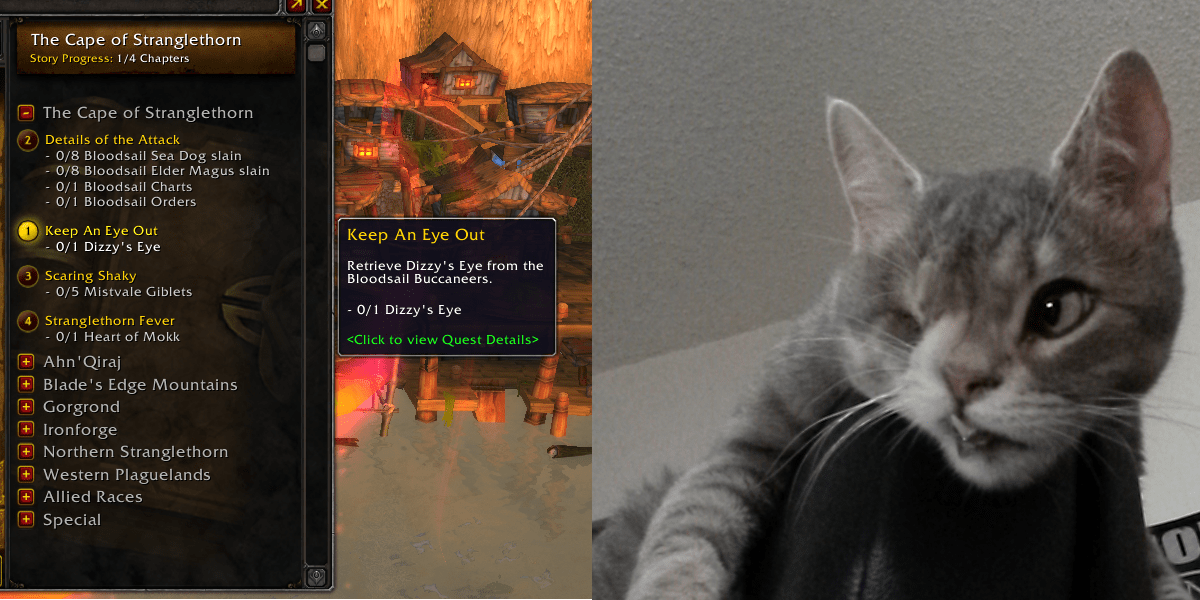 We have a oneeyed cat named Dizzy. I found this while trying to