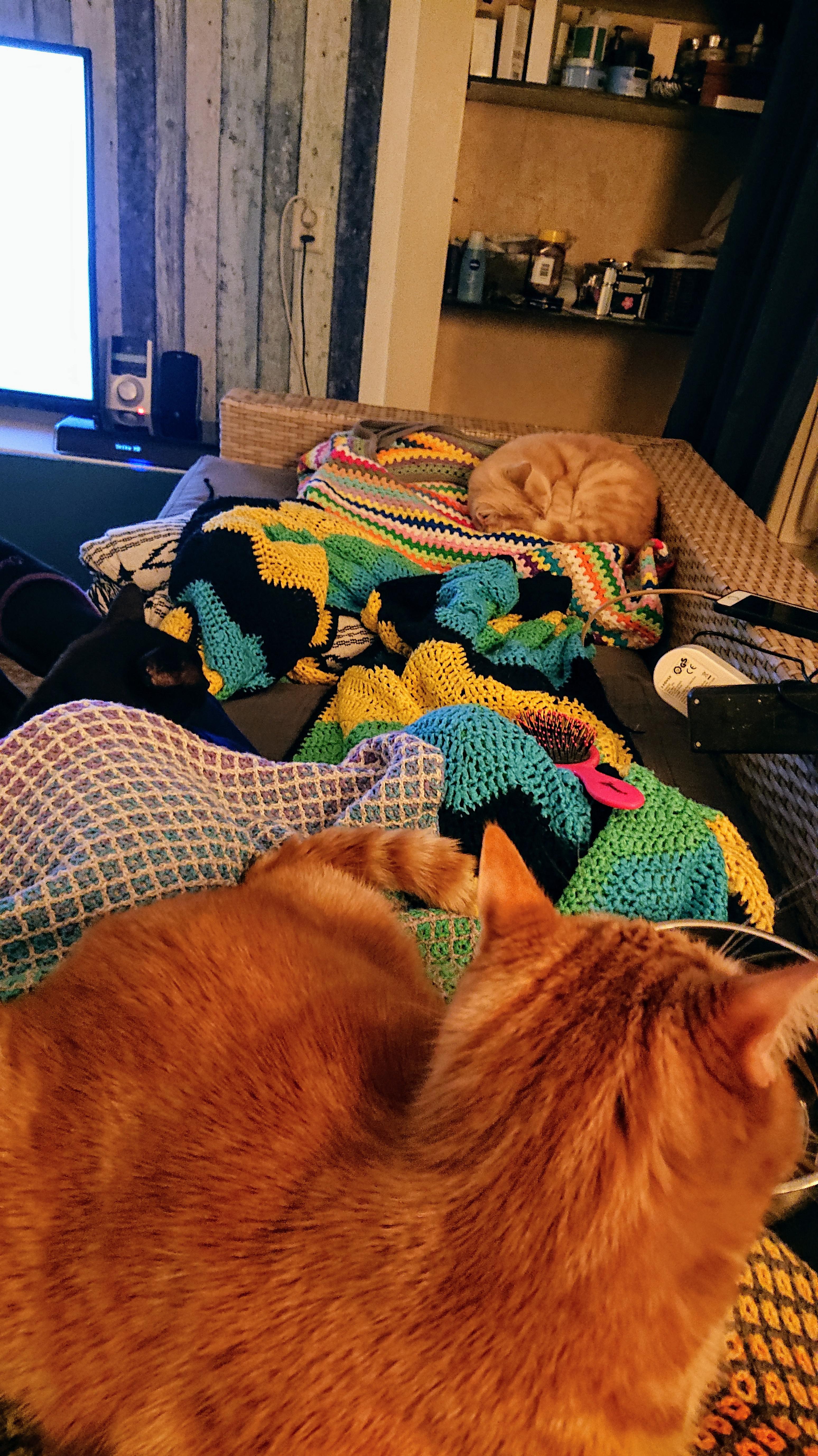 Blanket mania! All 3 cats are loving my work. Think thats why the