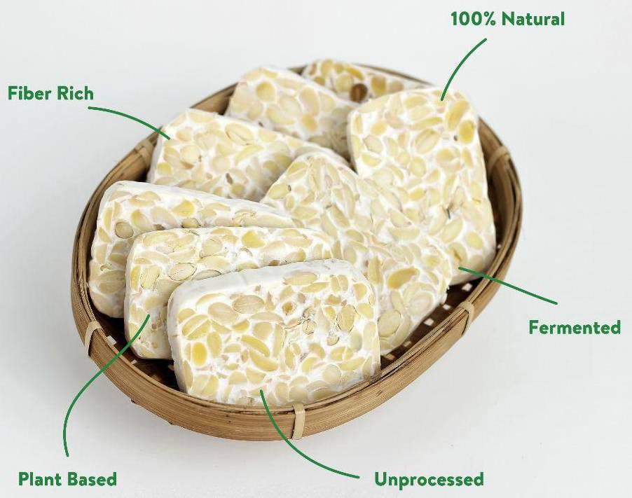 Tempeh Starter Tempeh