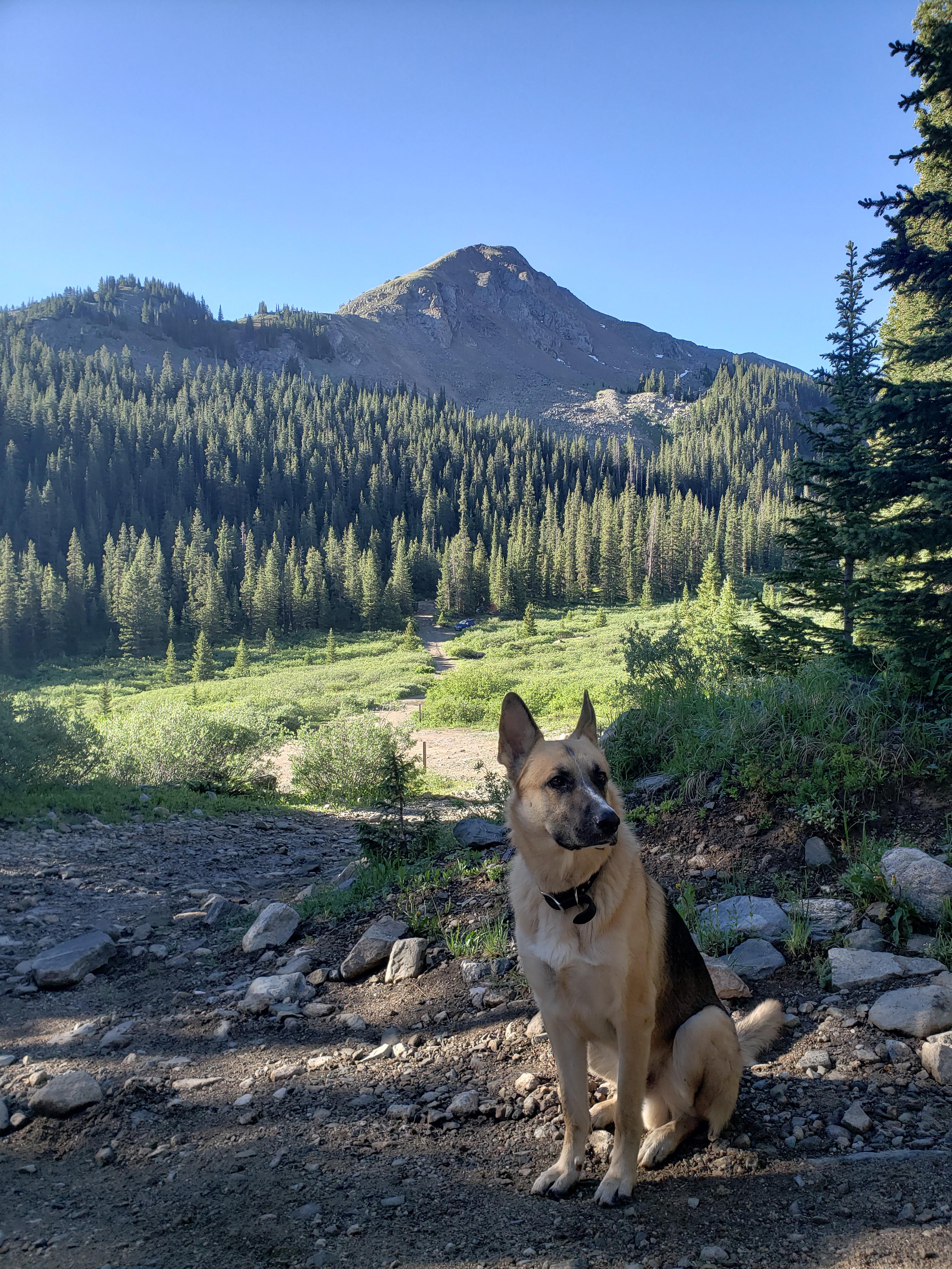 On our morning walk this morning after camping near montezuma, CO r