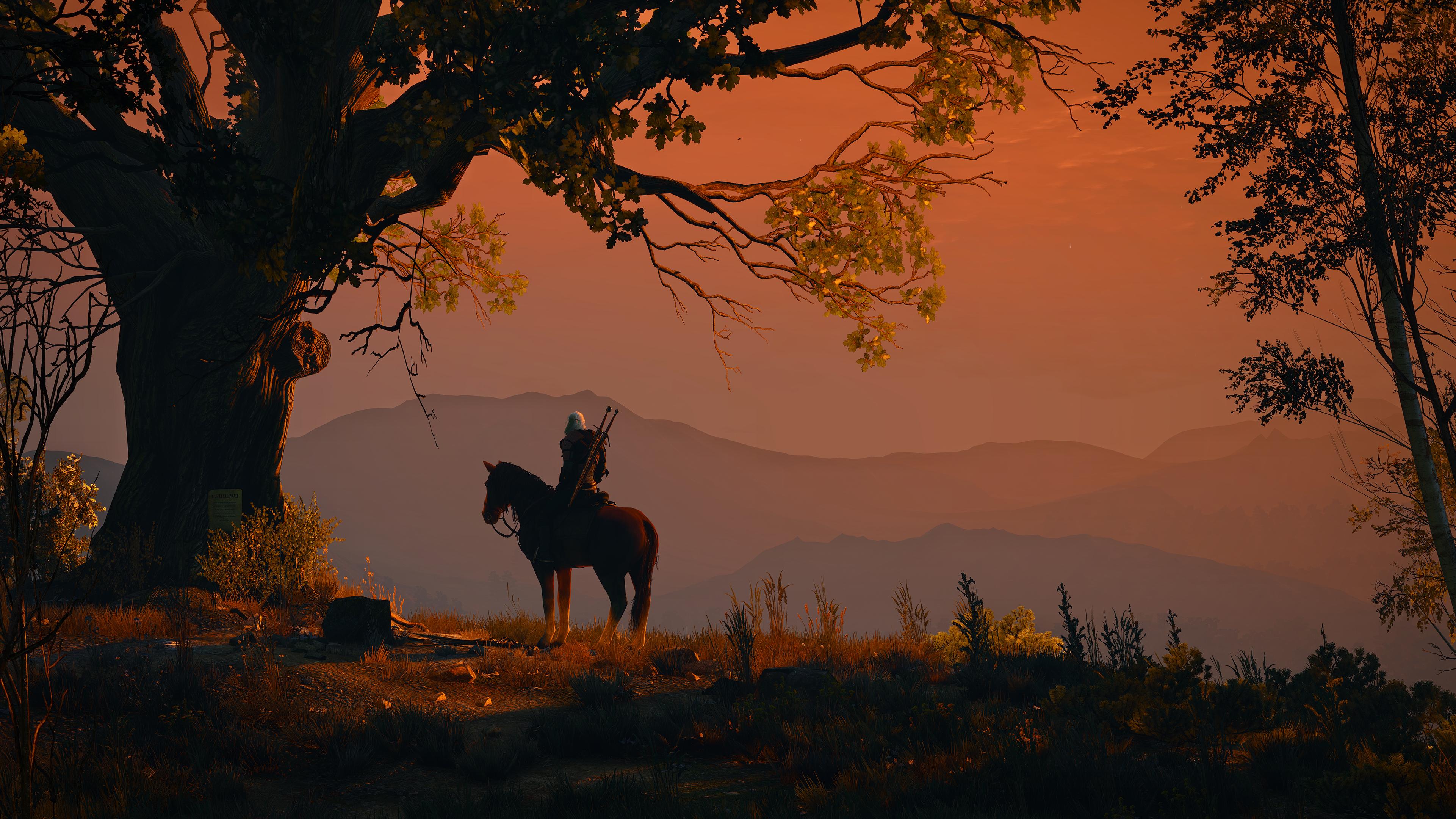 Ansel is an incredible tool... witcher
