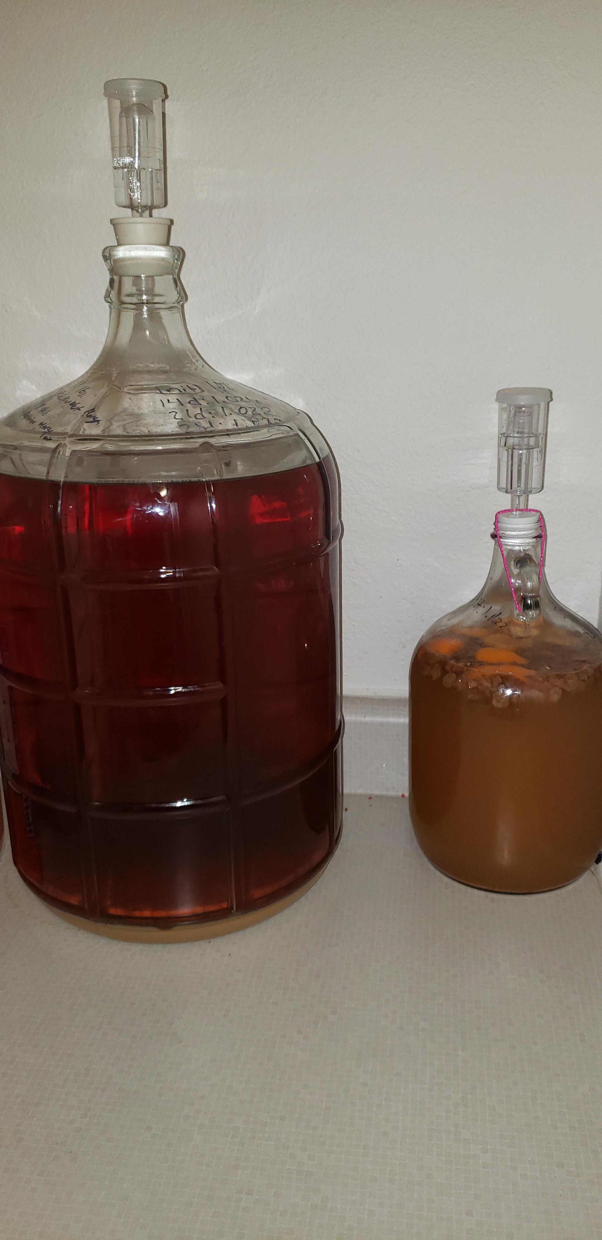 First mead (6 weeks old Pacific Northwest honey and Wyeast 4766) and