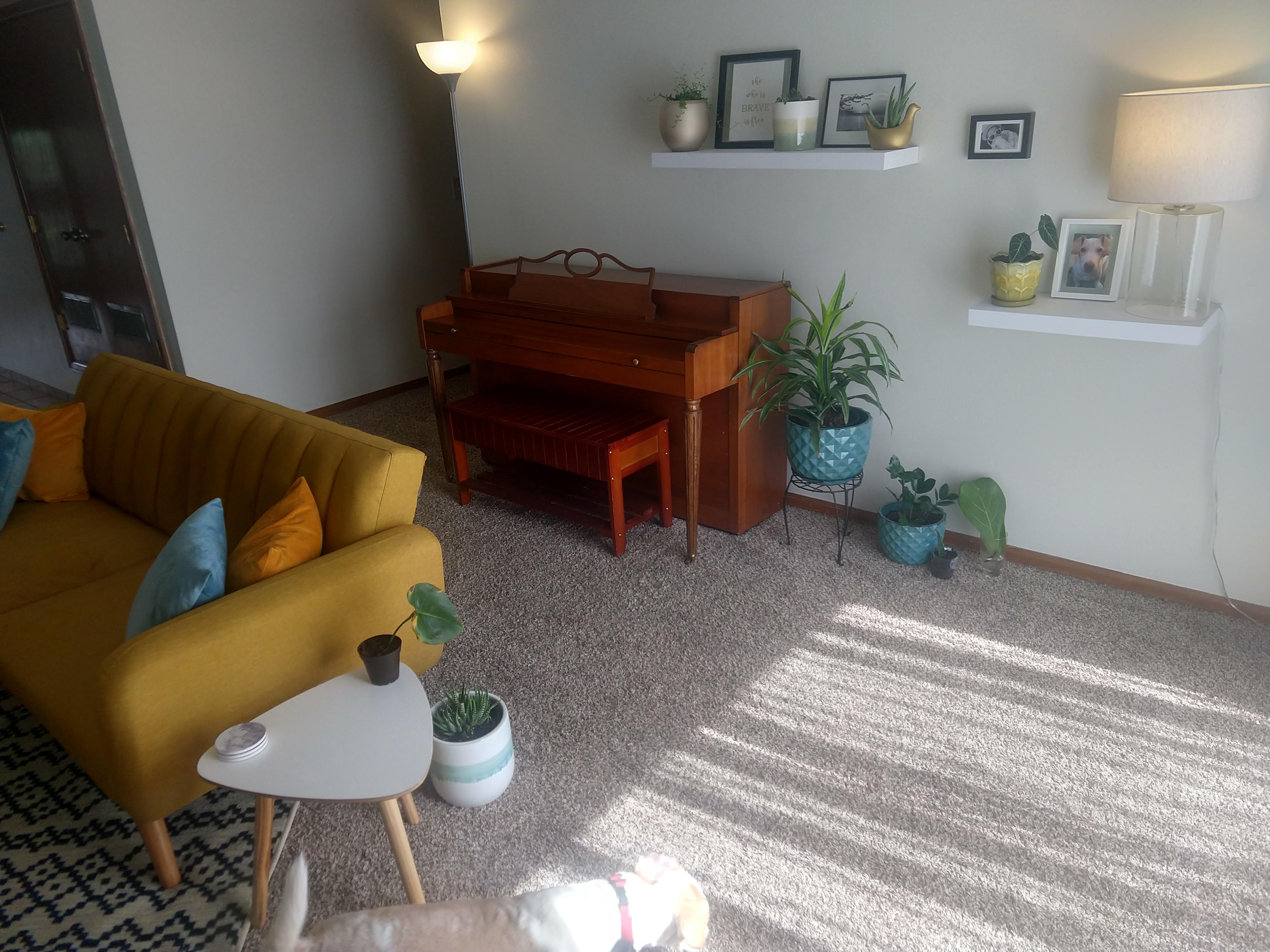 Got a free piano in Craigslist, paid 50 to a neighbor and his friend