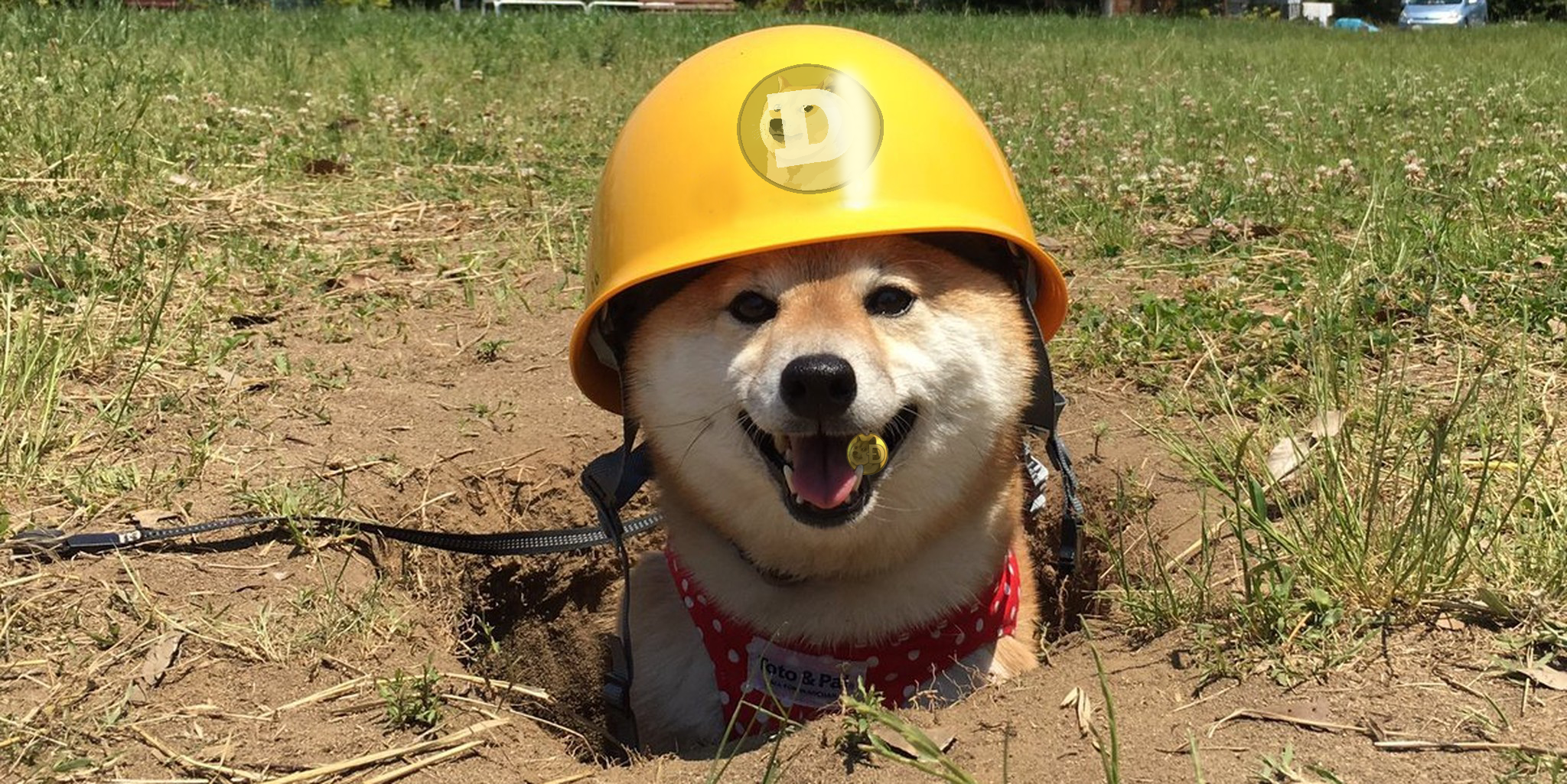 Dig doge dogecoin mining games