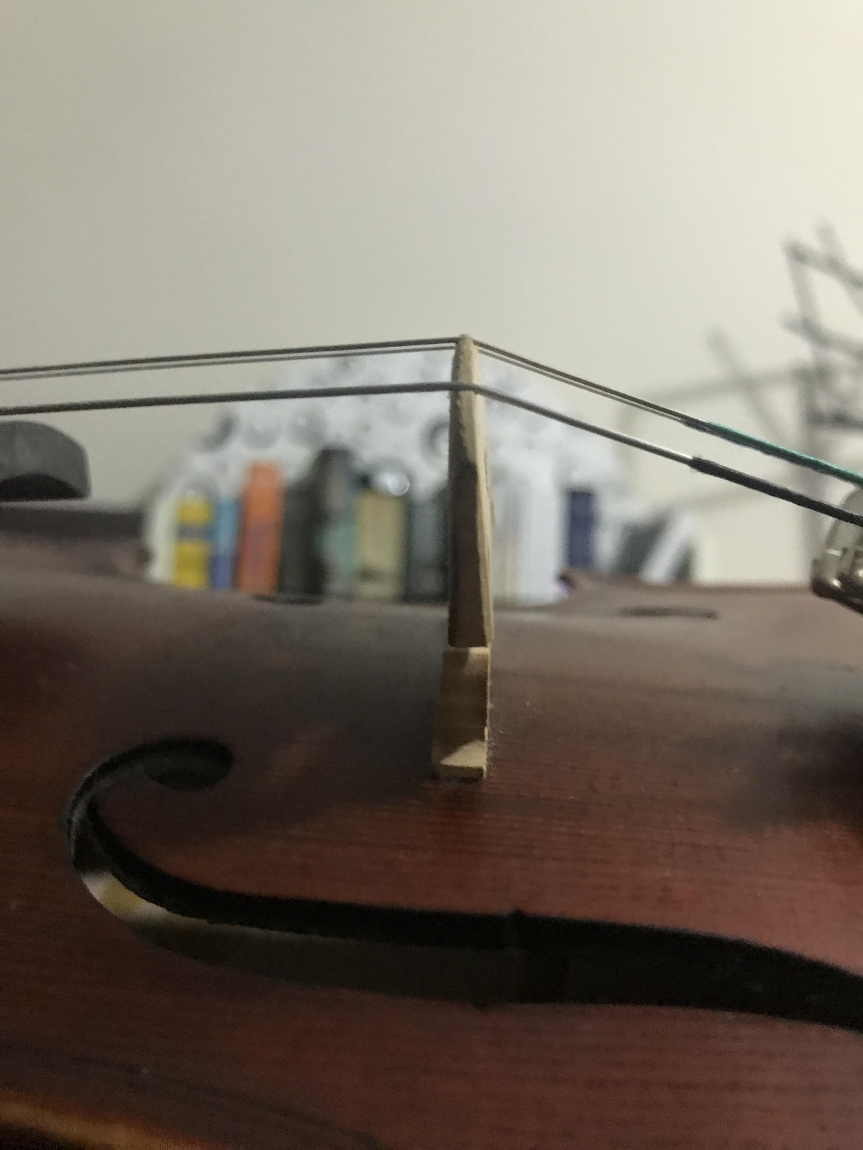 Is this bridge bent? r/violinist