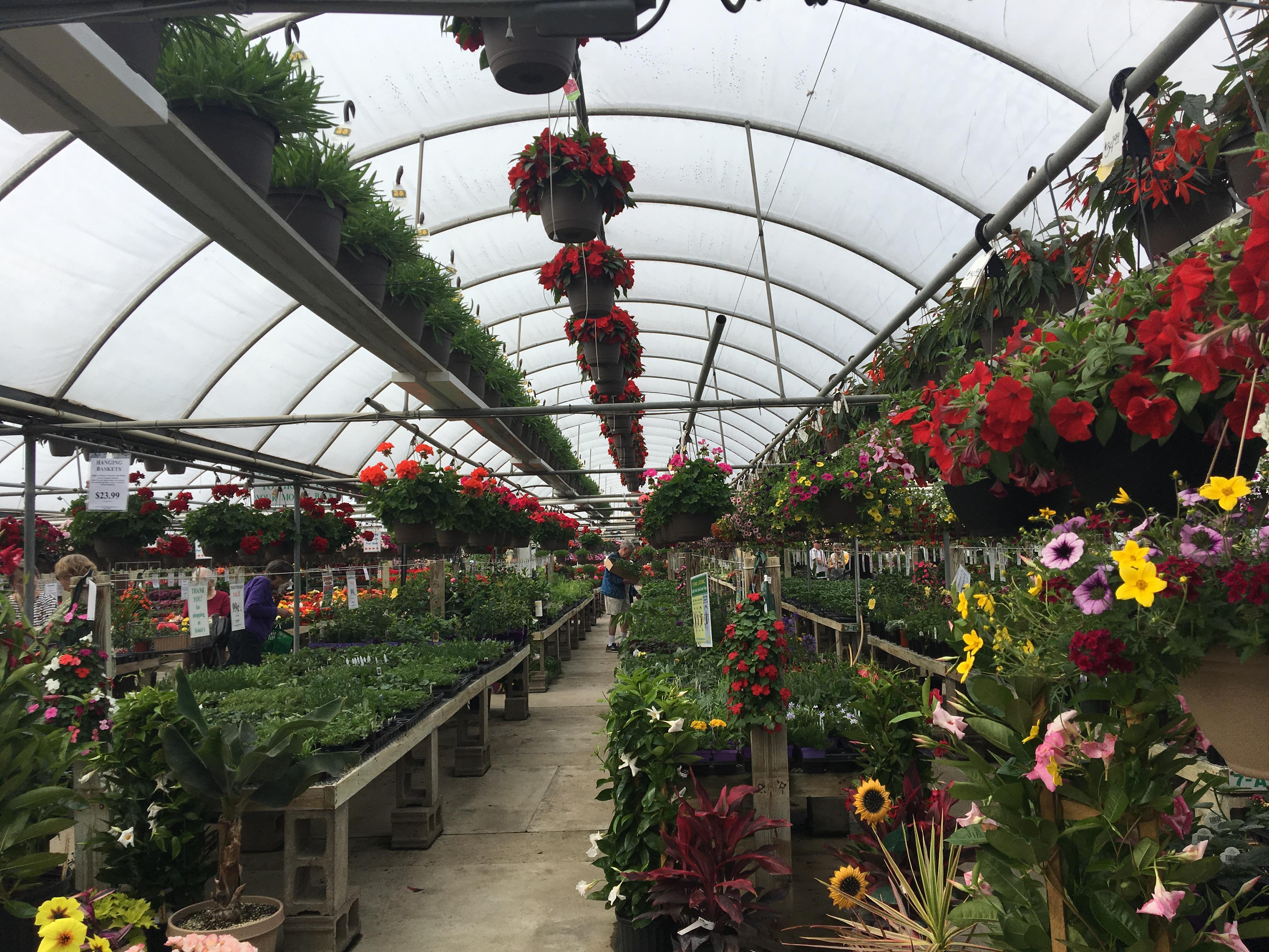 I love my local greenhouse!😍 r/gardening