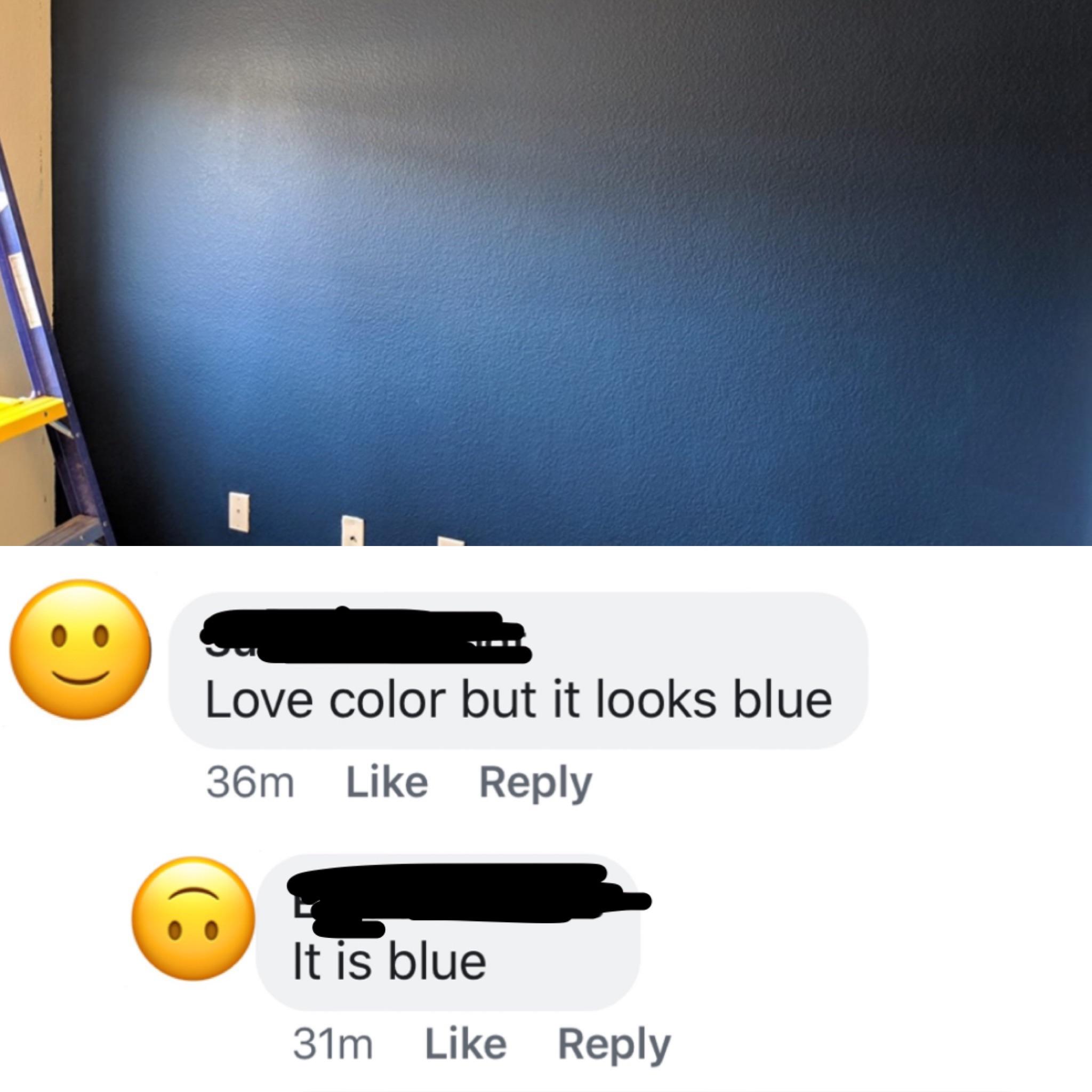 Blue cheese has mold in it r/oldpeoplefacebook