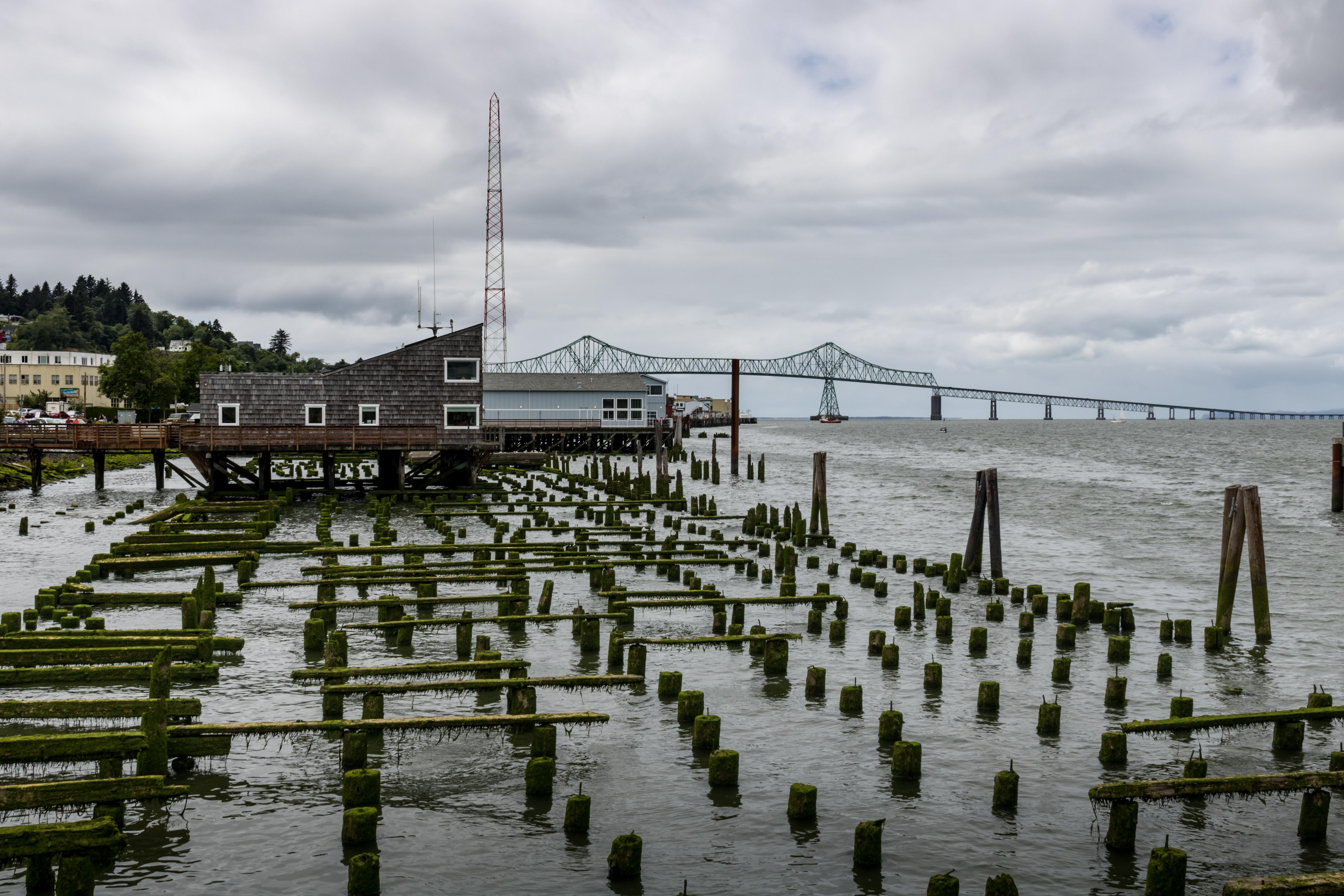 AstoriaMegler Bridge as seen from Astoria, Oregon [OC] r/bridgeporn