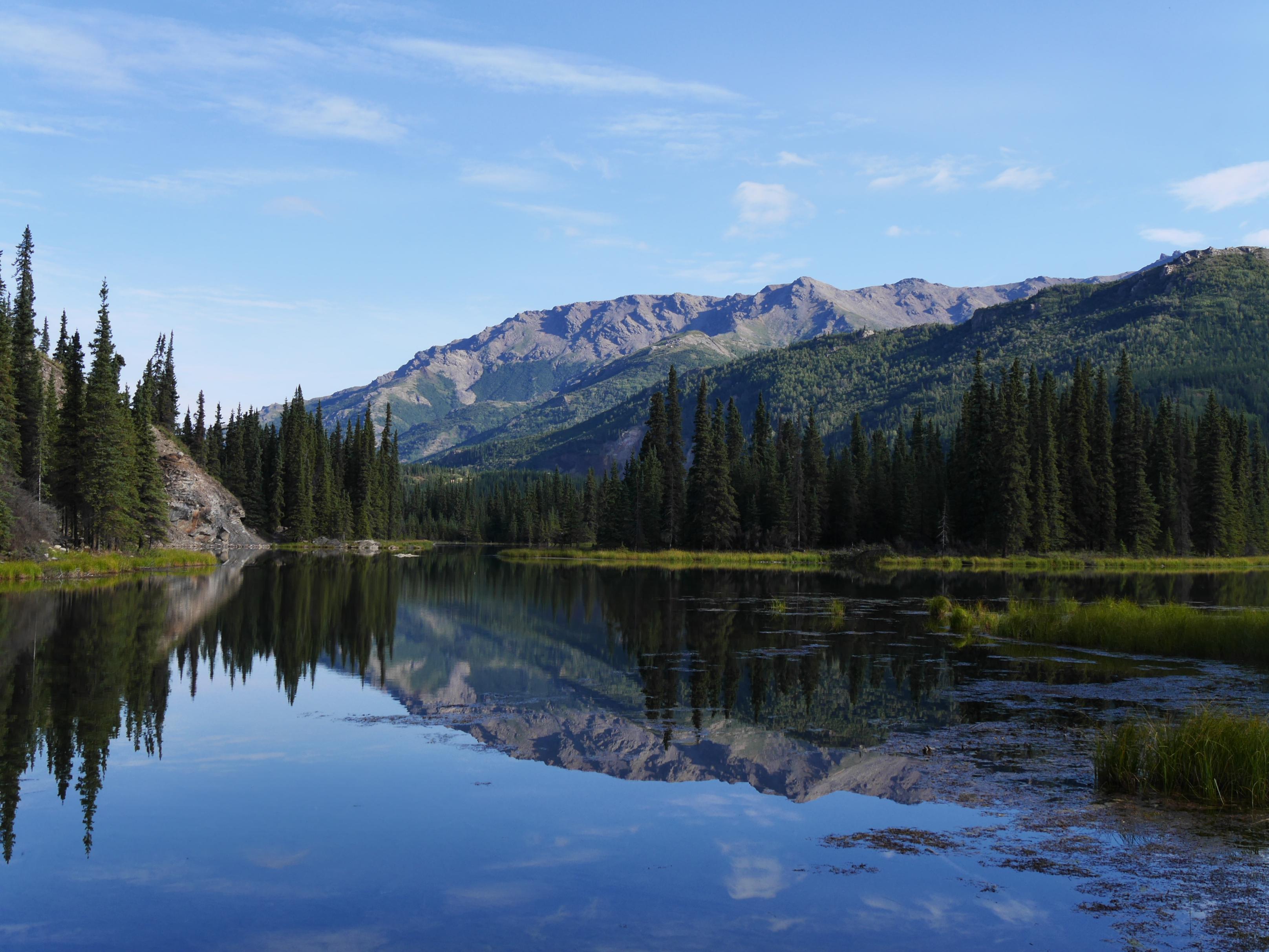 Horseshoe Lake Trail, Denali National Park in late summer 2015 [OC