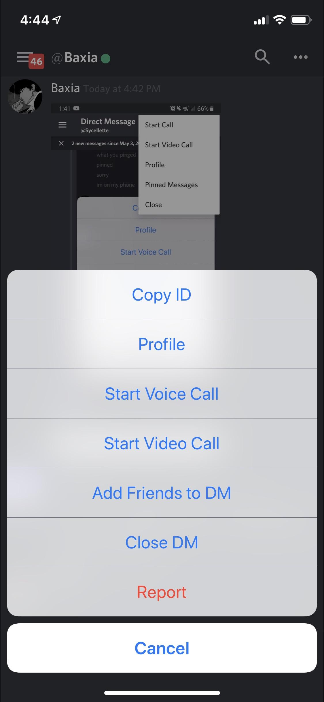 Unable to view pinned messages on the iPhone app, but you can still pin