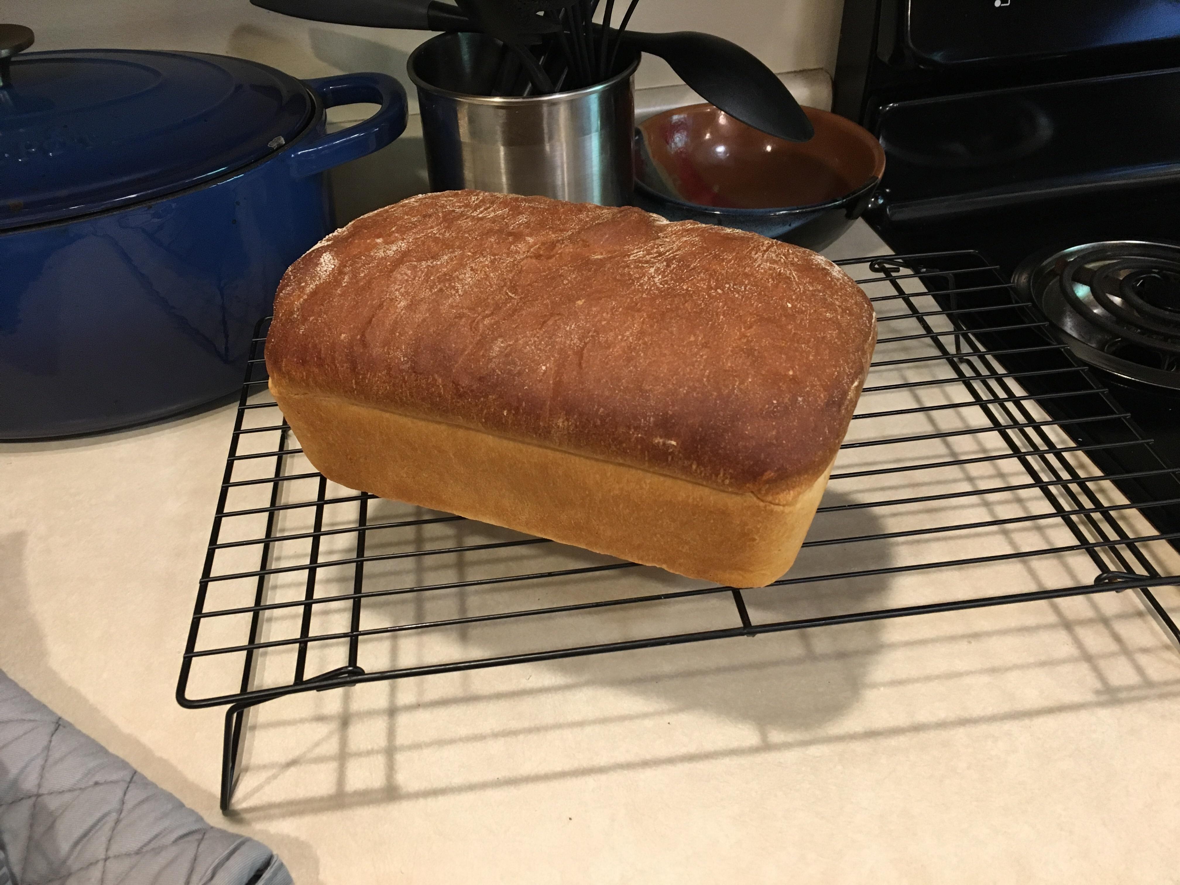 Flour water yeast salt revolution